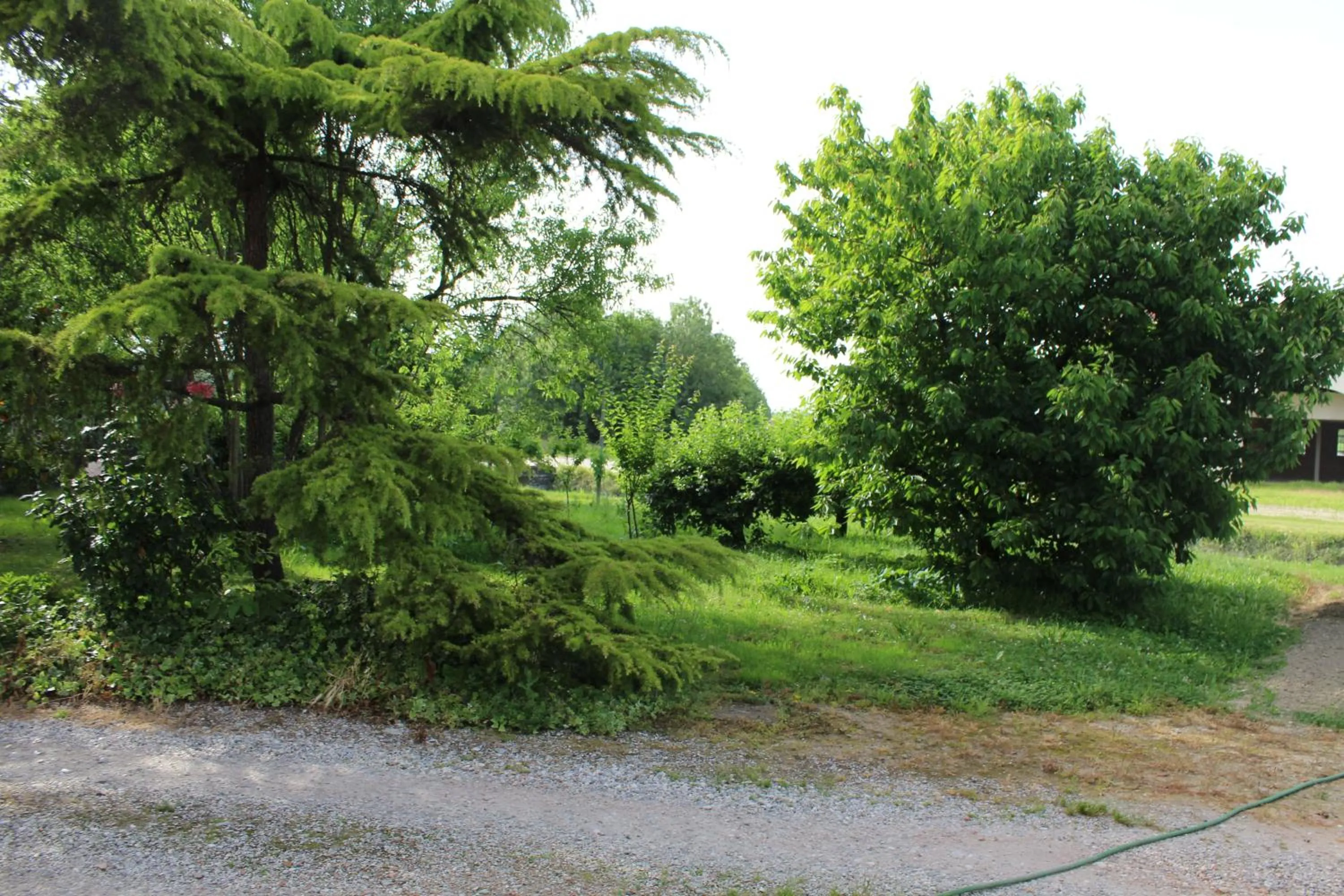 View (from property/room) in B&B Airport Venice Diego 2