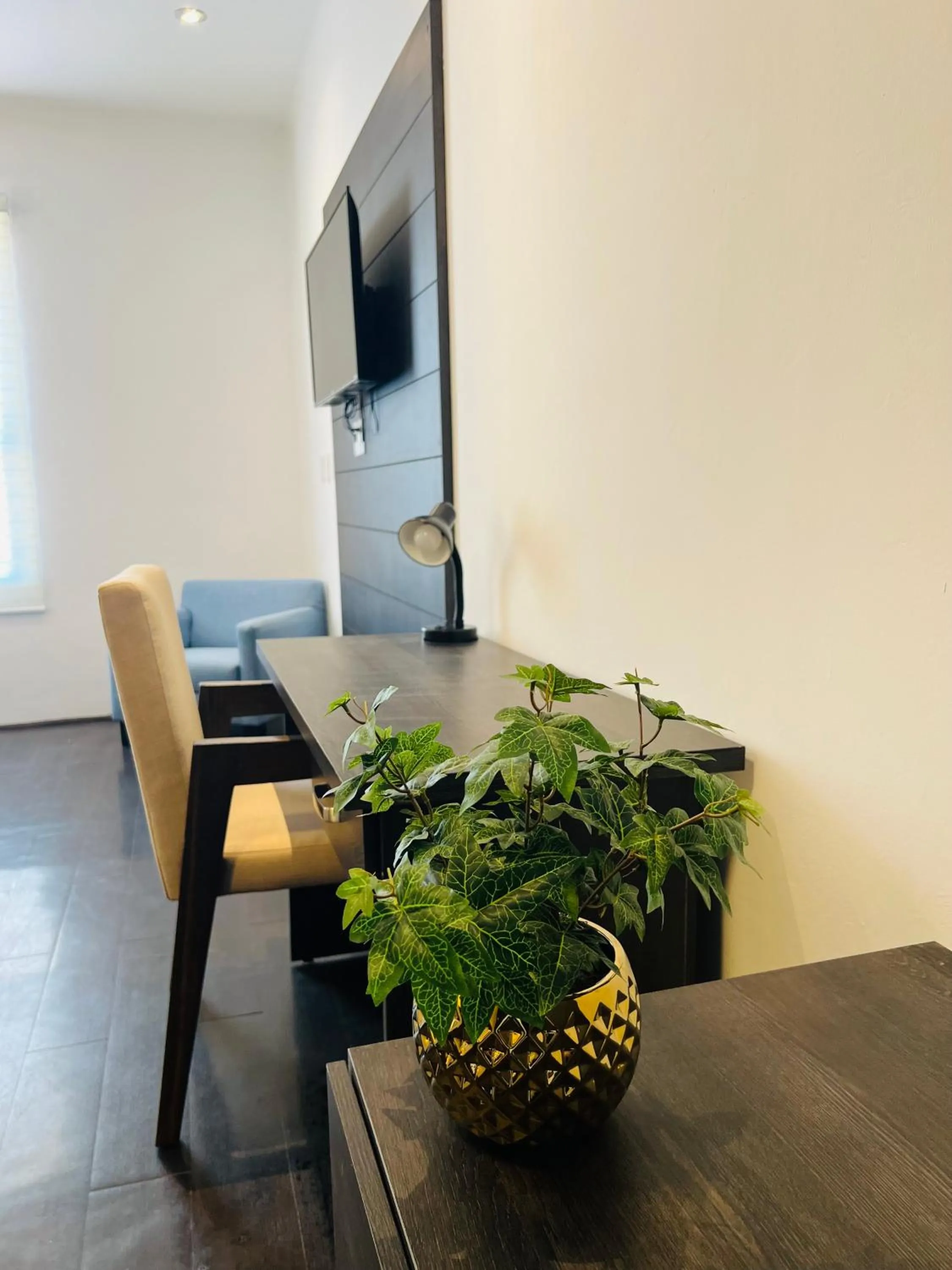 TV and multimedia in QA Hotel