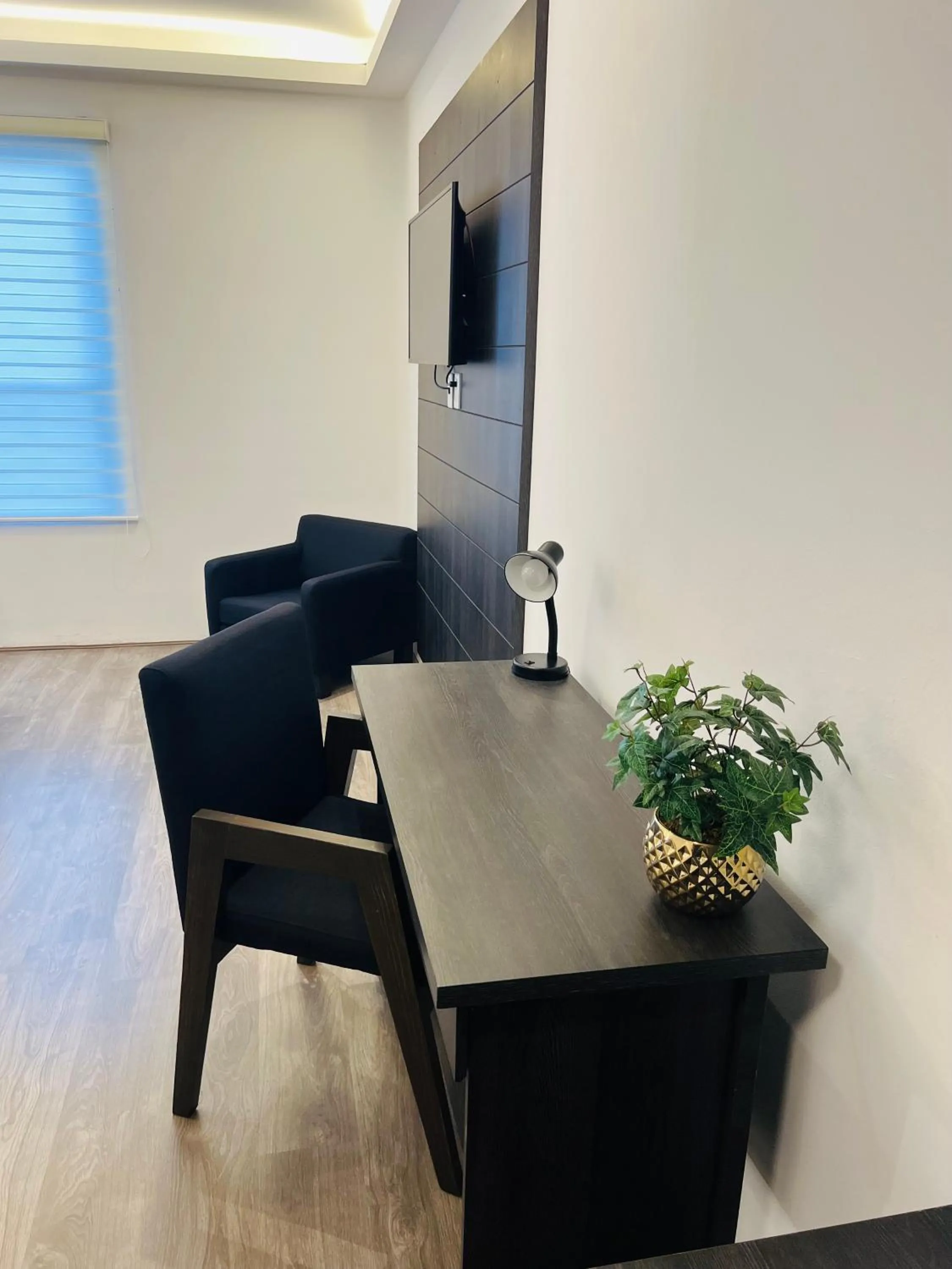 TV and multimedia in QA Hotel