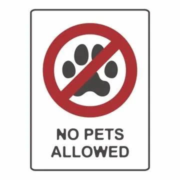 Pets in Itare Beach House