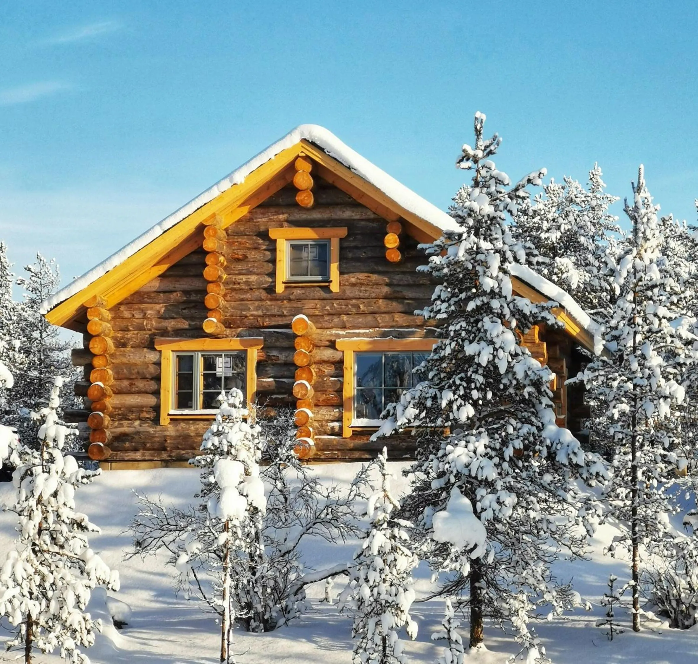 Day in Wilderness Hotel Muotka & Igloos