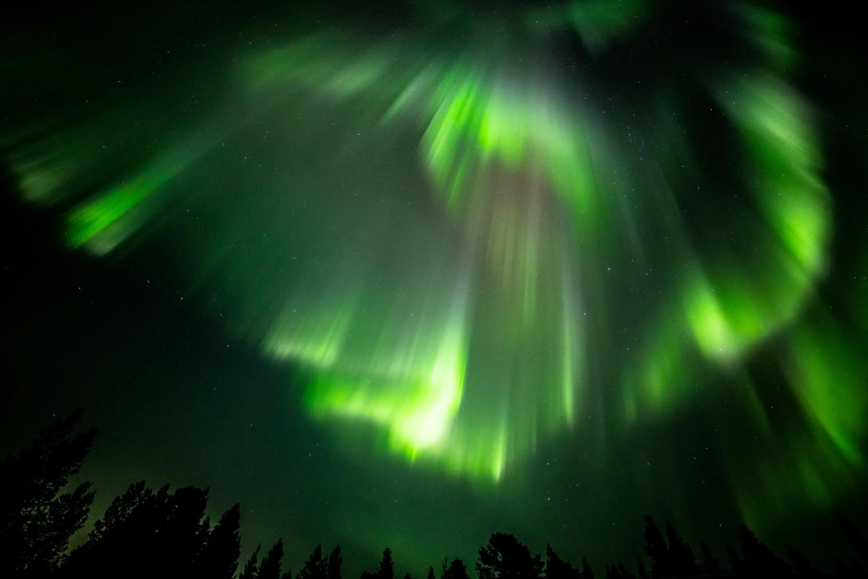 Night in Wilderness Hotel Muotka & Igloos