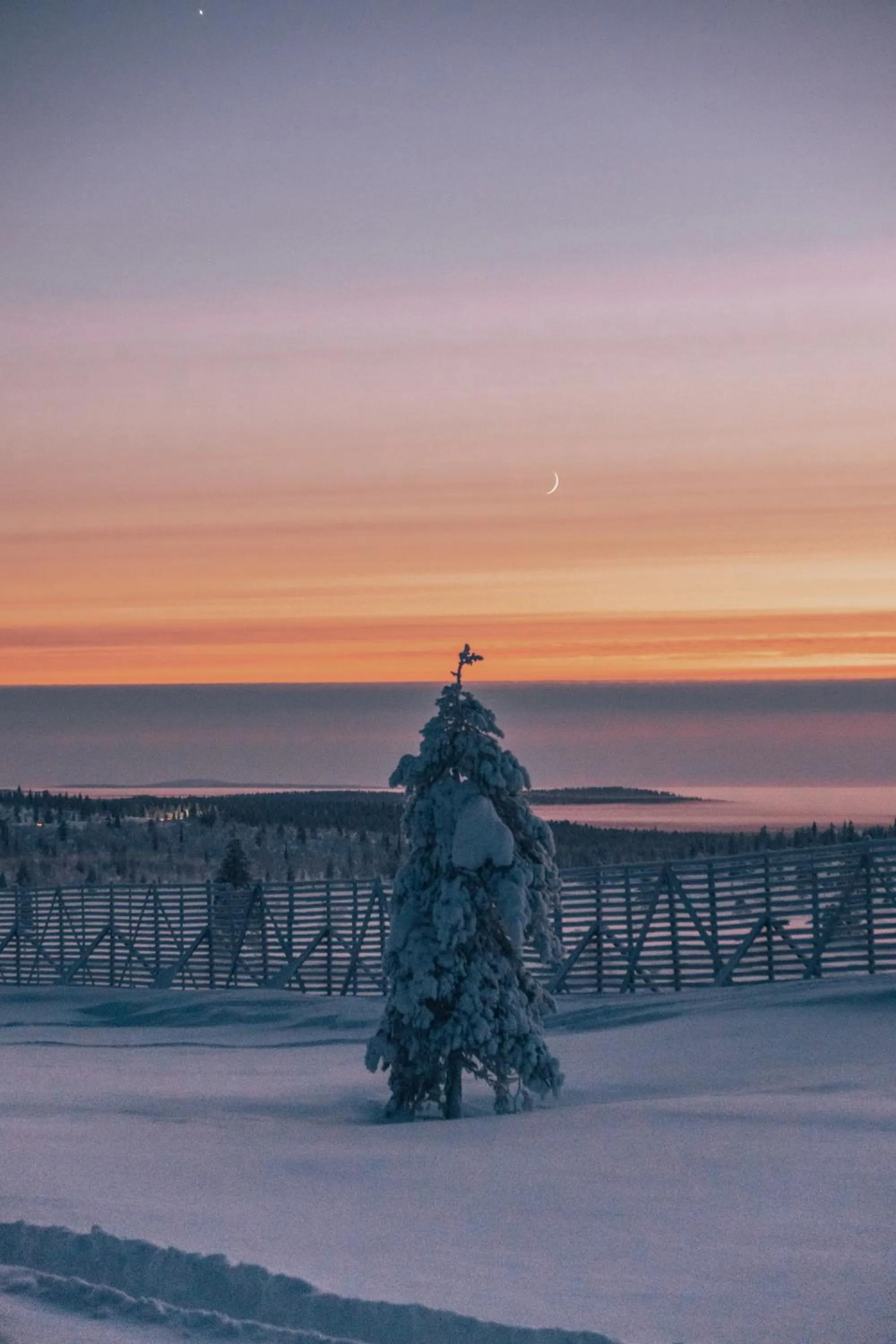 Natural landscape in Wilderness Hotel Muotka & Igloos
