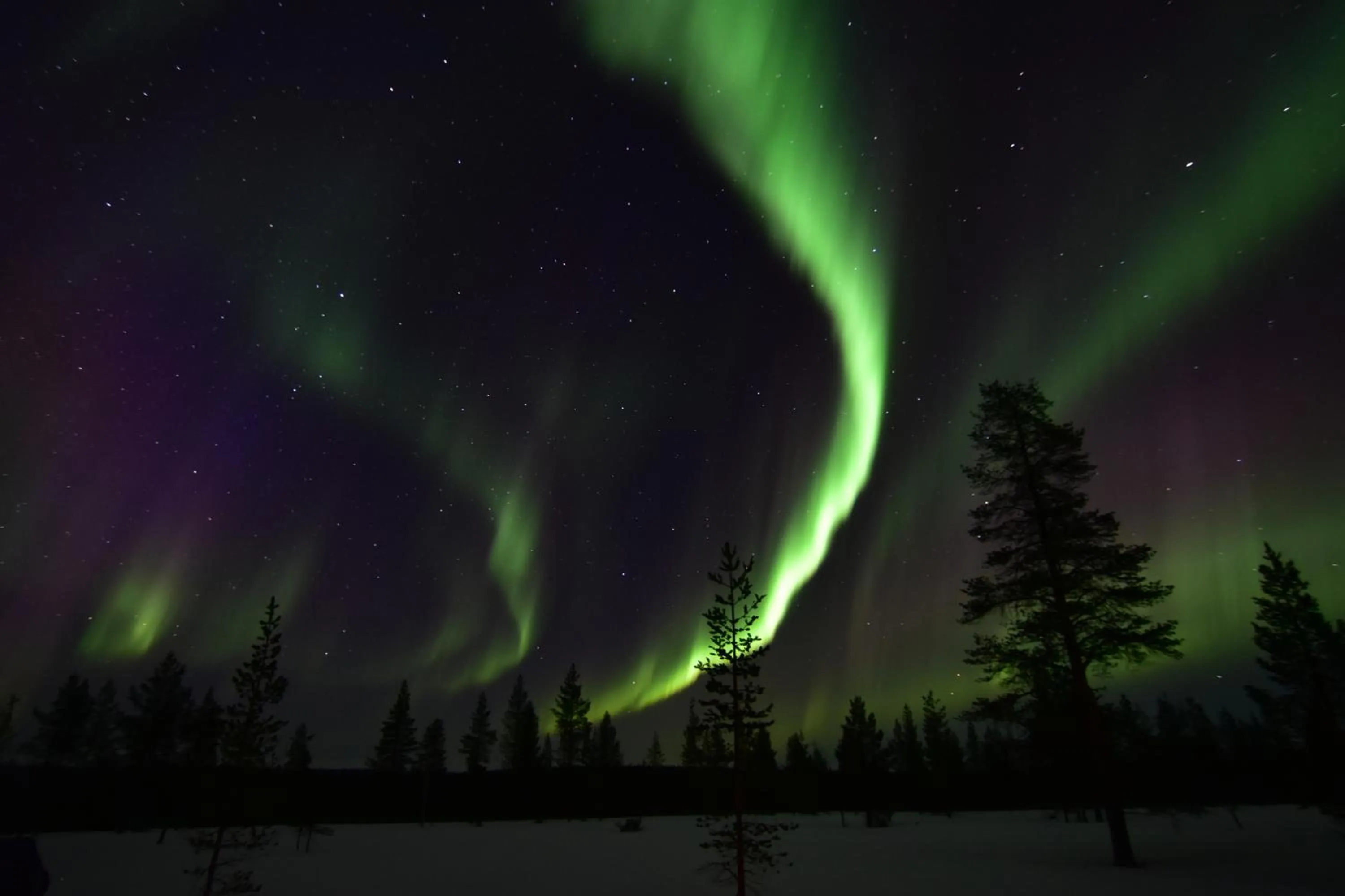 Night in Wilderness Hotel Muotka & Igloos