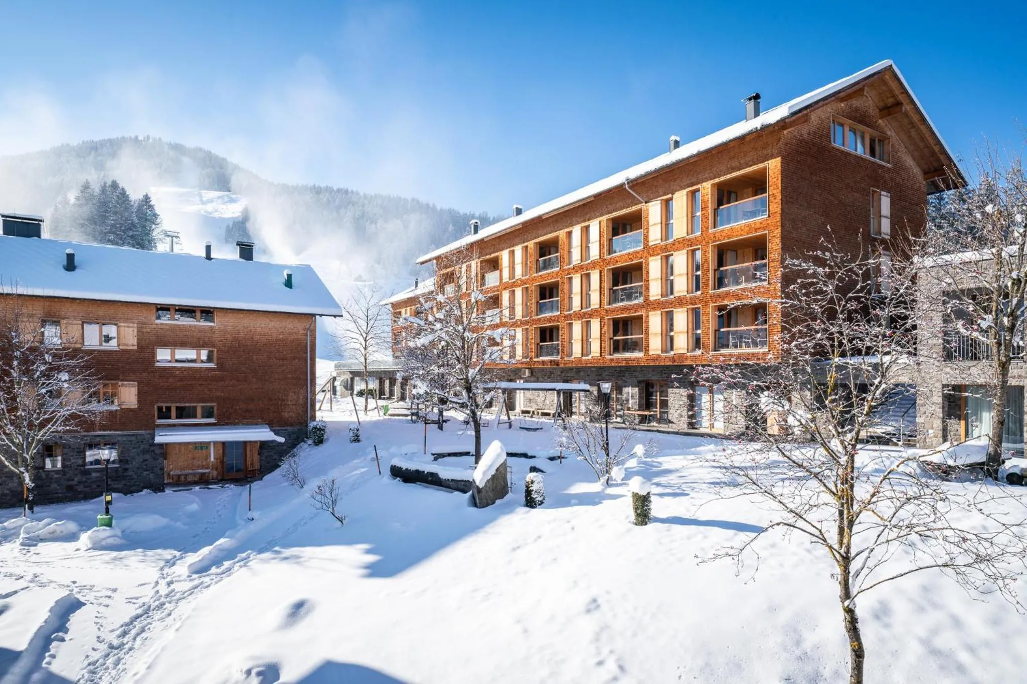 Property building in Landal Brandnertal