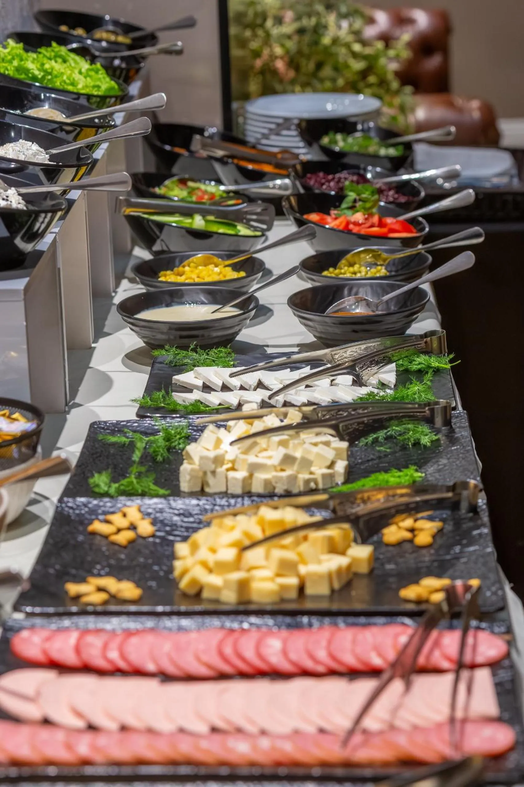 Food and drinks in CONGRESS Hotel