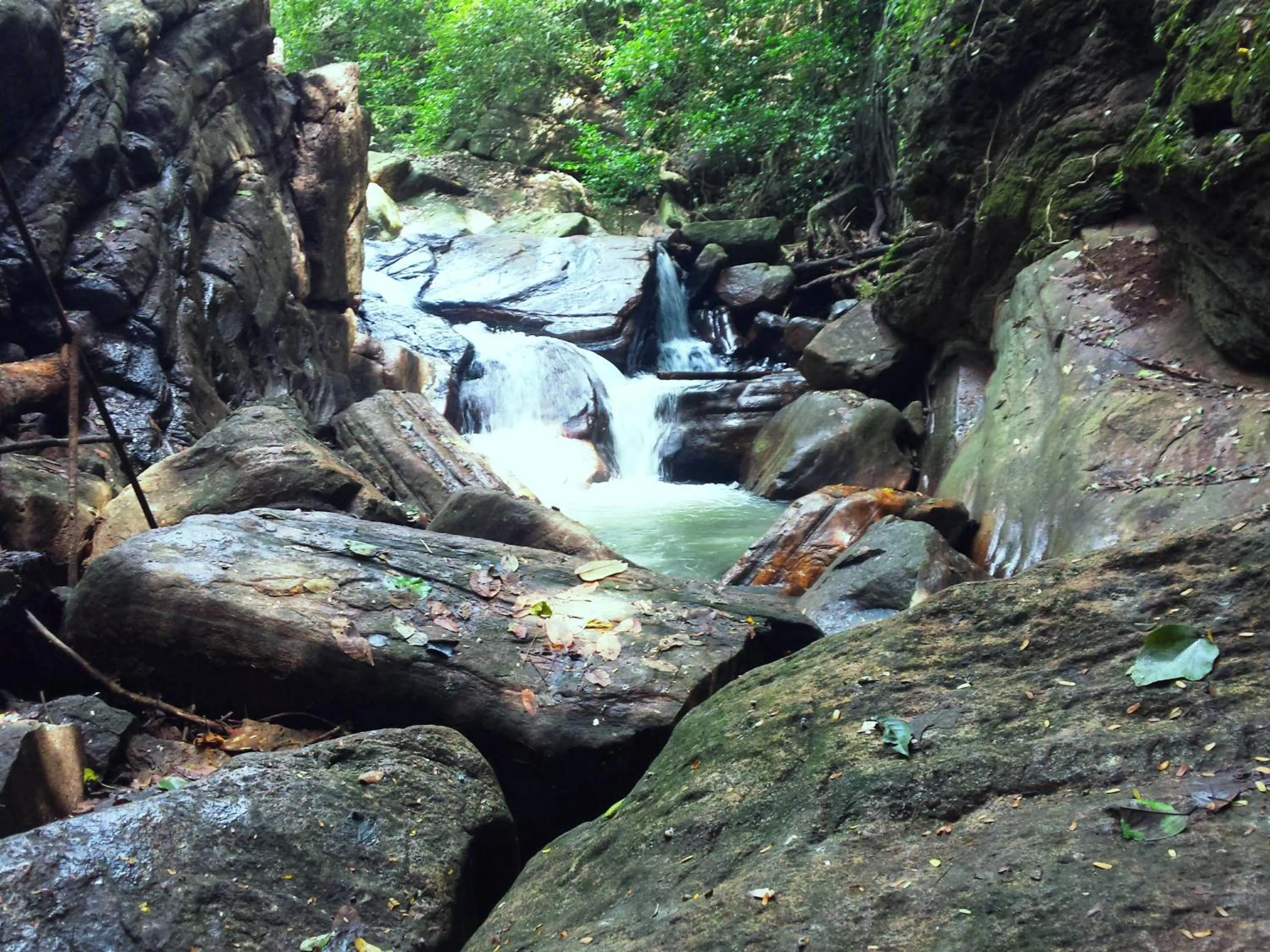 Activities in Green heaven safari resort Udawalawa