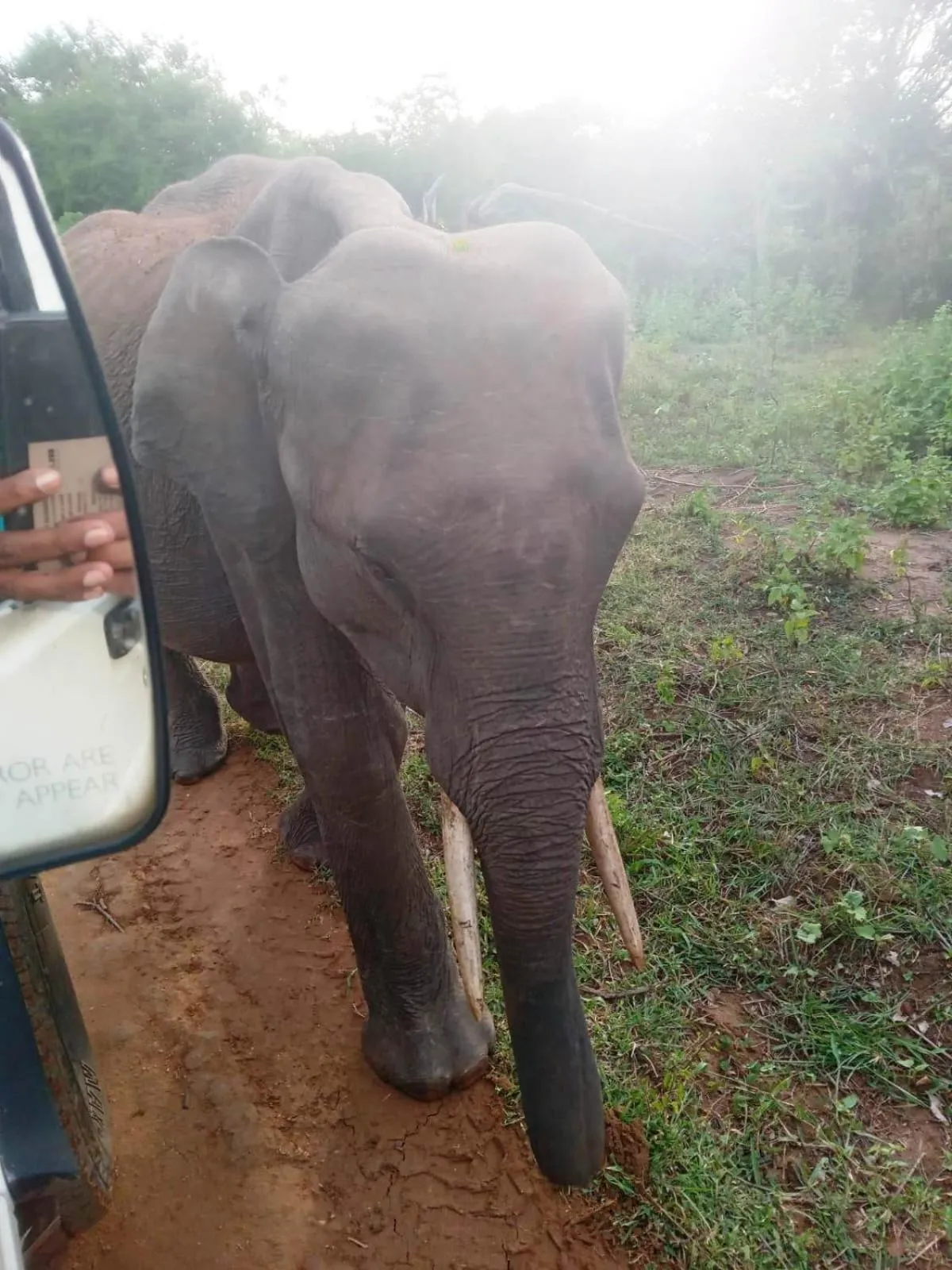 Activities in Green heaven safari resort Udawalawa