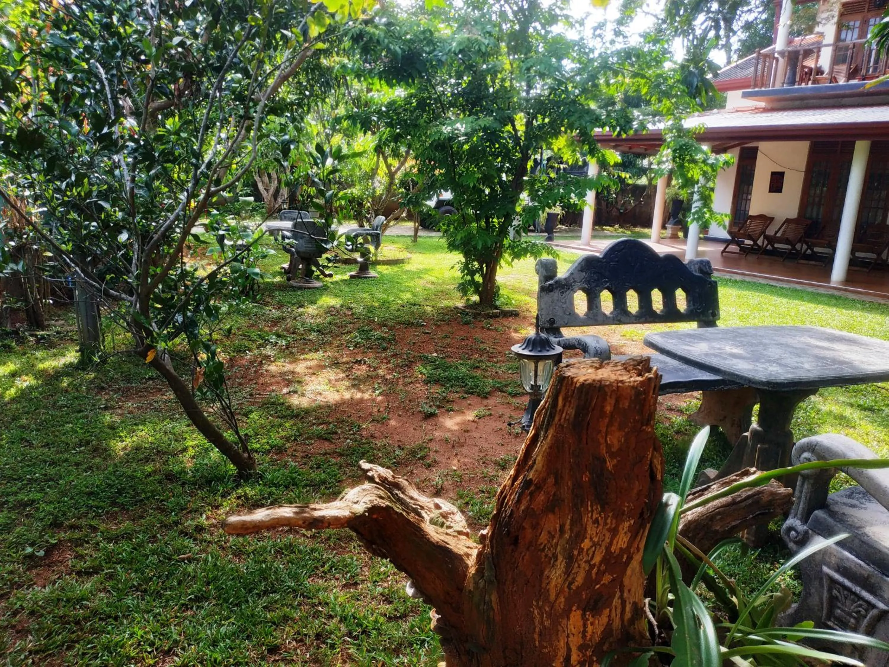 Garden view in Green heaven safari resort Udawalawa