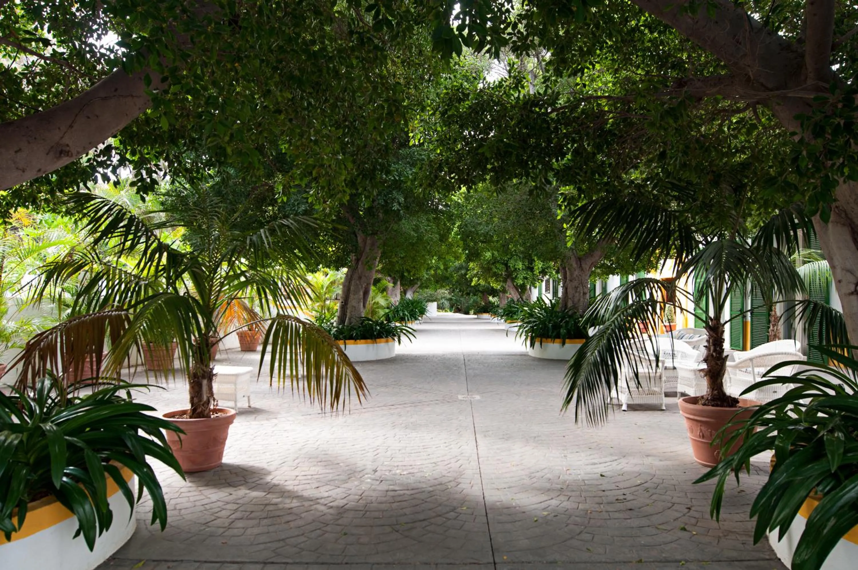 Day in Cortijo San Ignacio