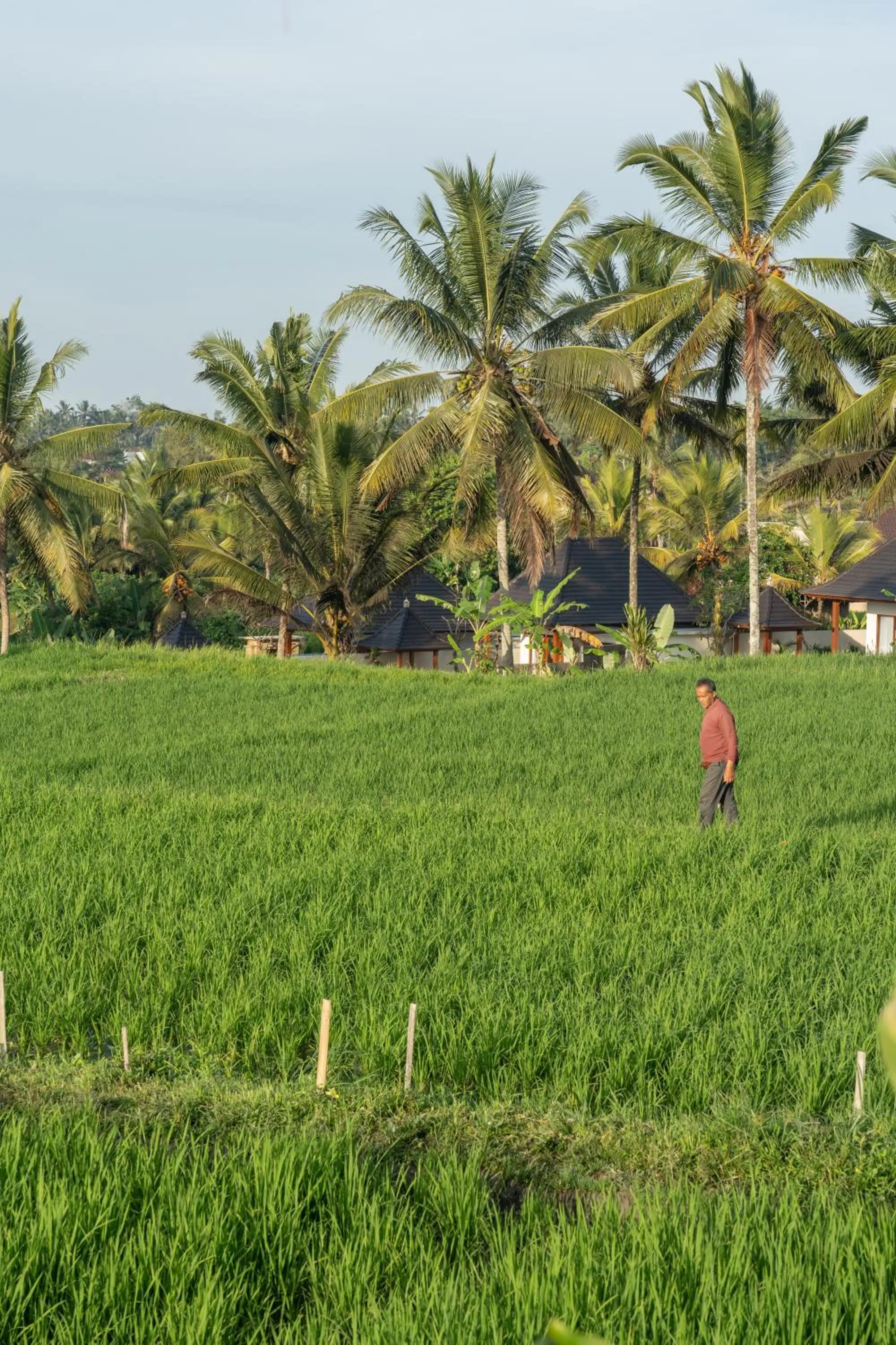 View (from property/room) in Wisana Villa Ubud by Dhananjaya Hospitality