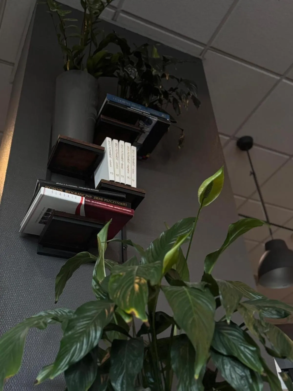 Restaurant/places to eat in Quality Silesian Hotel