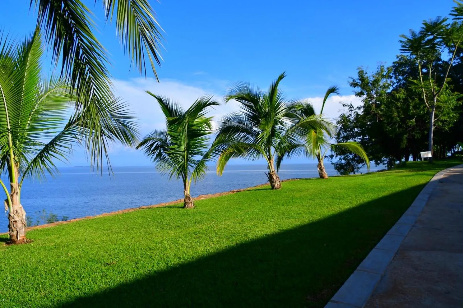Garden in Lake Safari Lodge