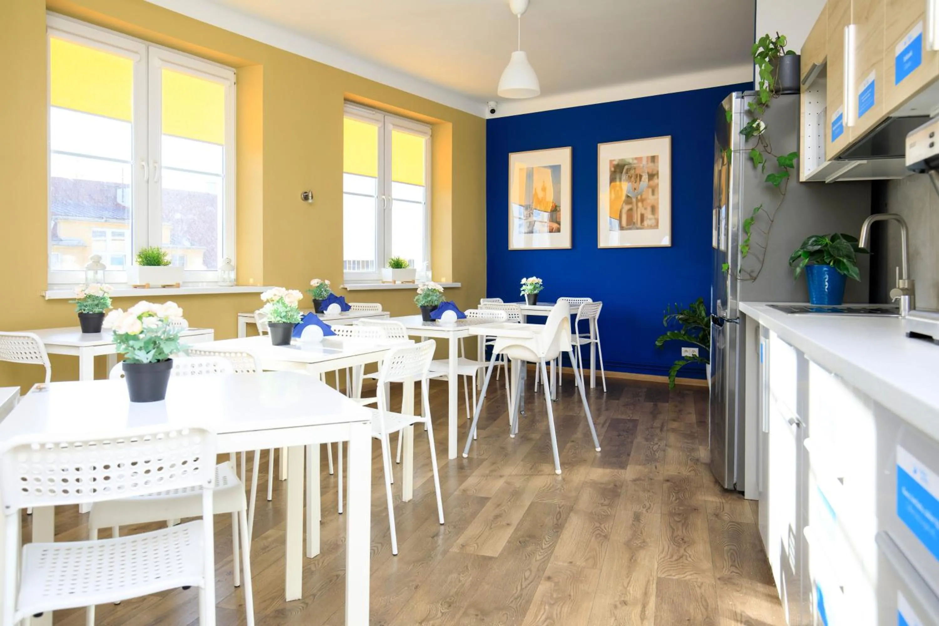 Kitchen or kitchenette in Freedom Hostel