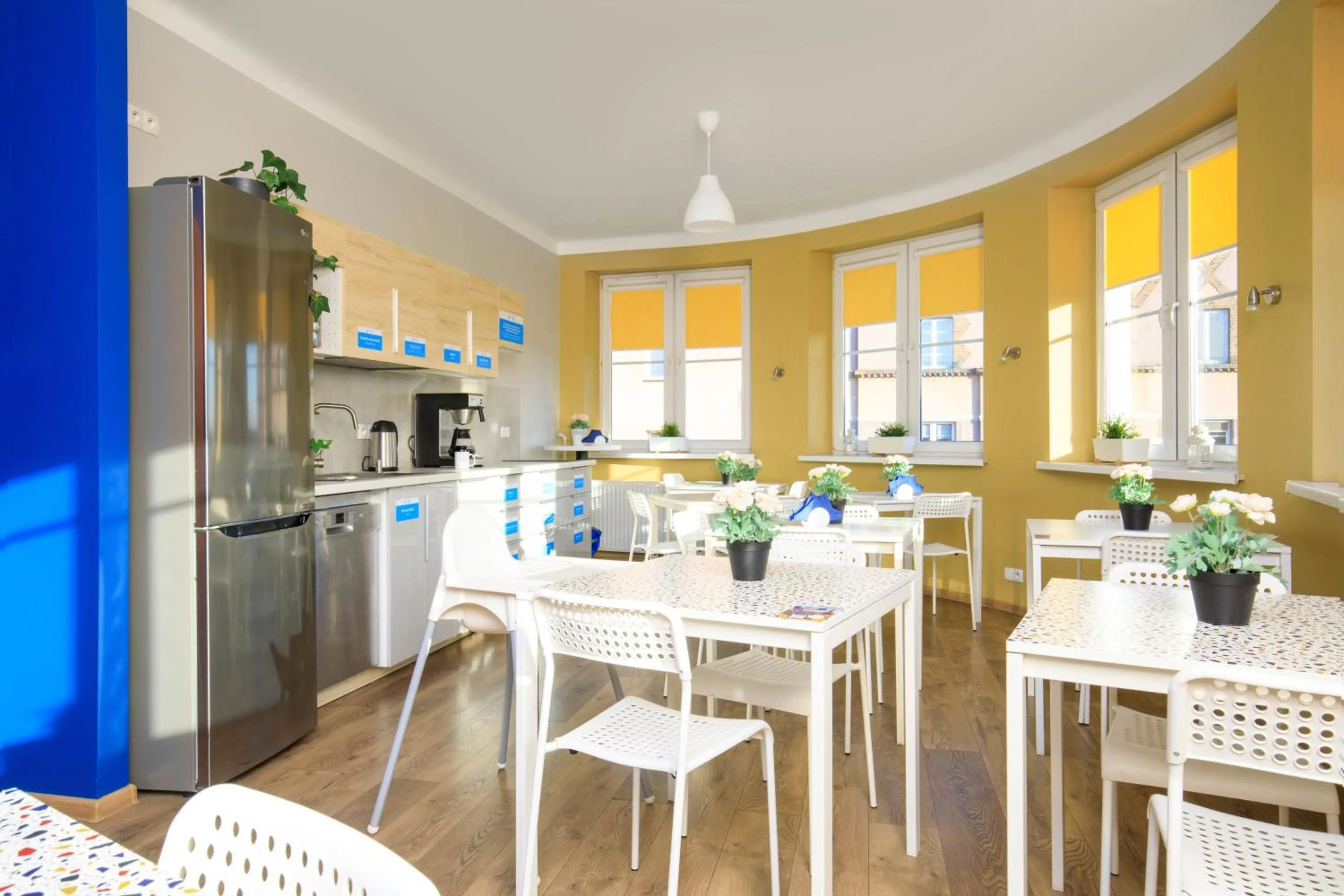 Kitchen or kitchenette in Freedom Hostel