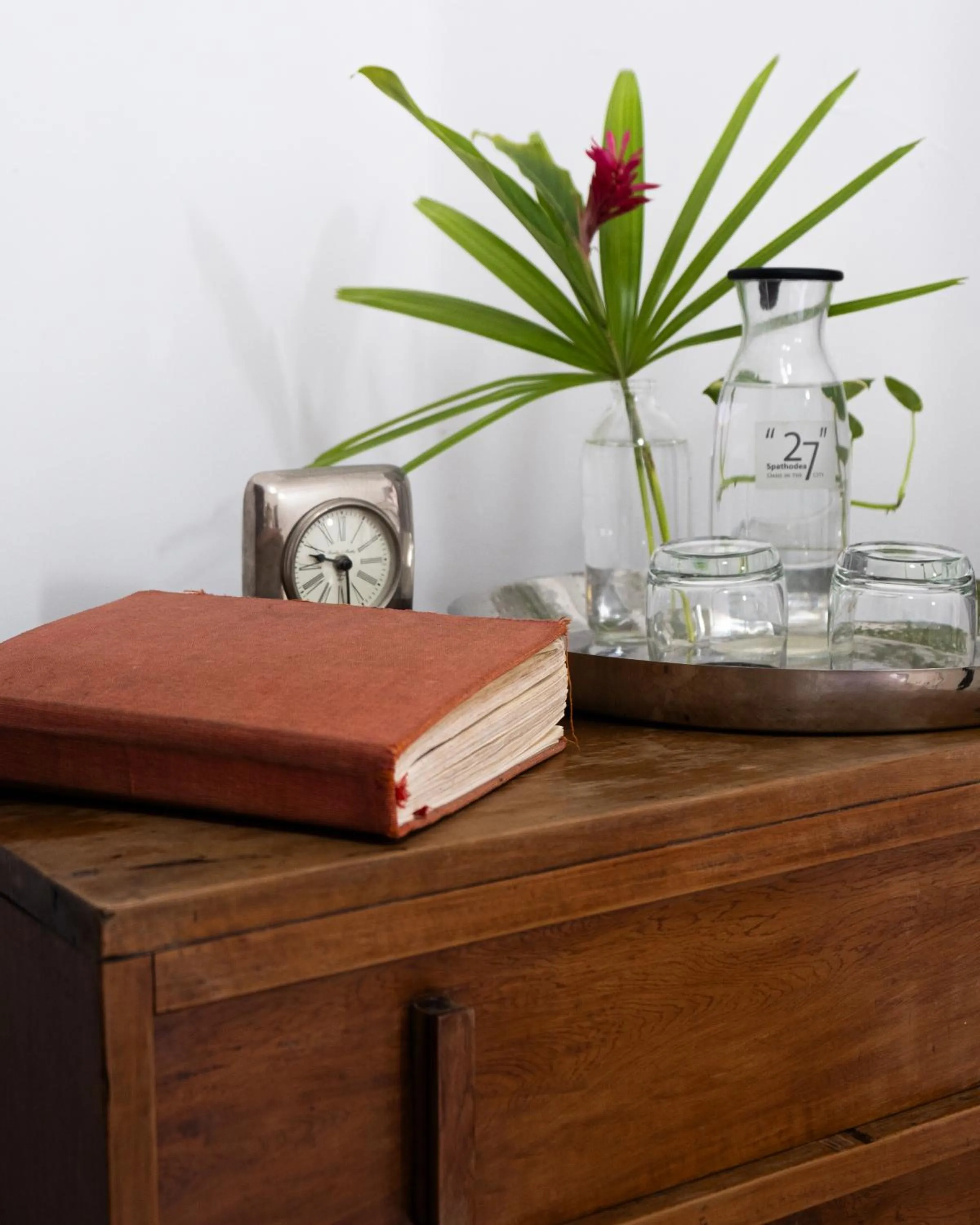 Decorative detail in "27" Spathodea- Oasis in the City