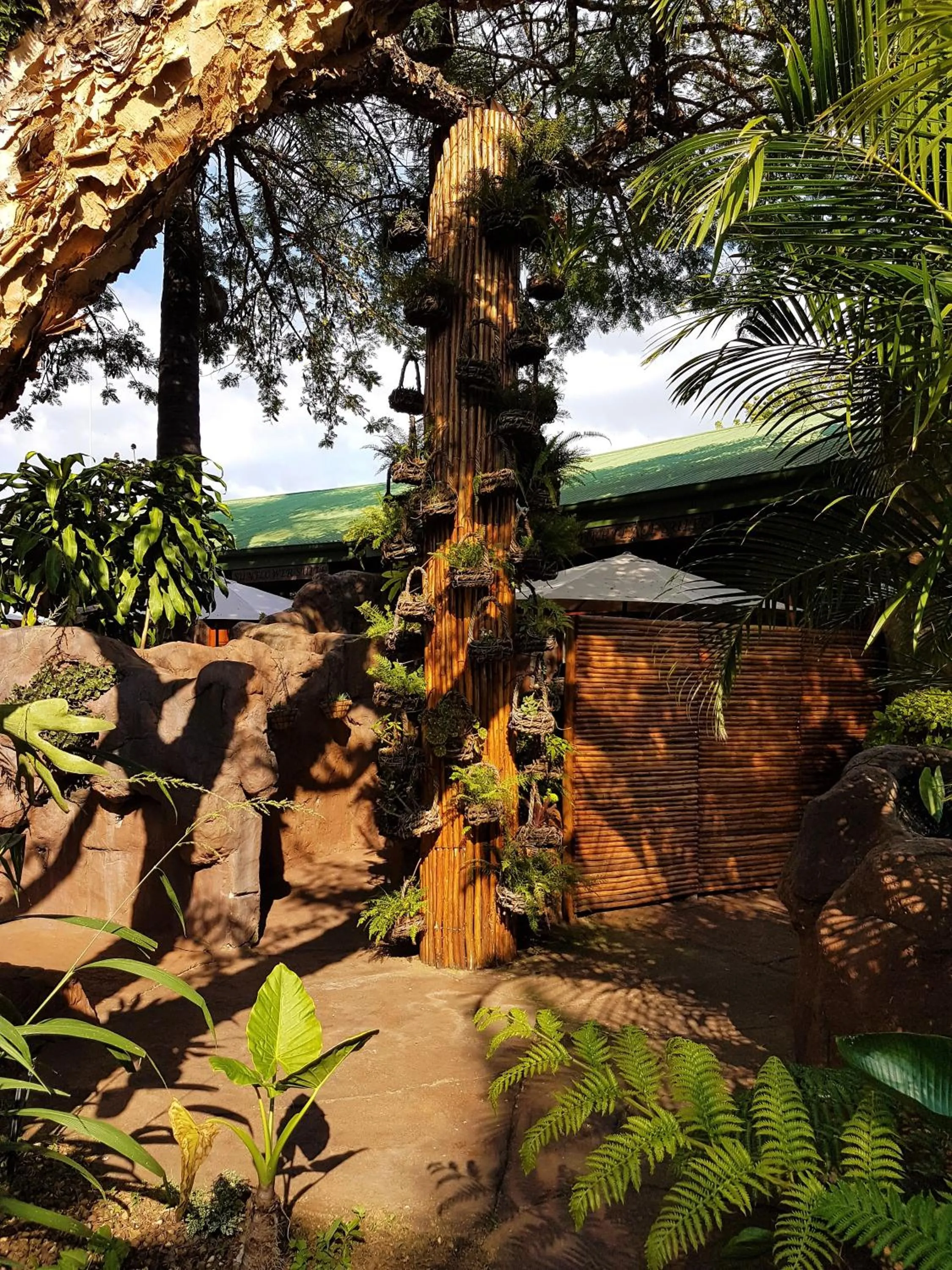 Facade/entrance in 61 On Ireland Guest House and Conferencing