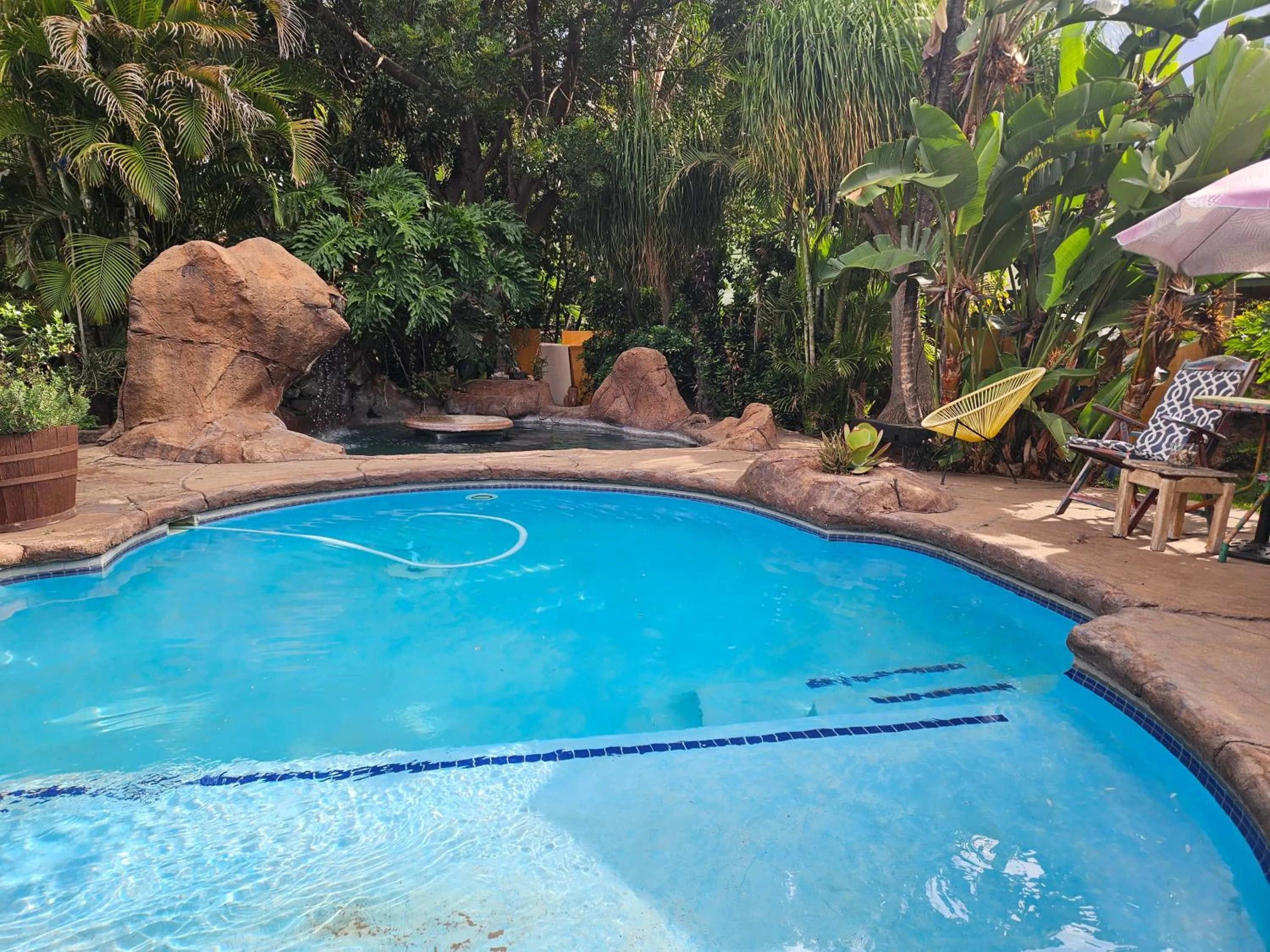 Garden in 61 On Ireland Guest House and Conferencing