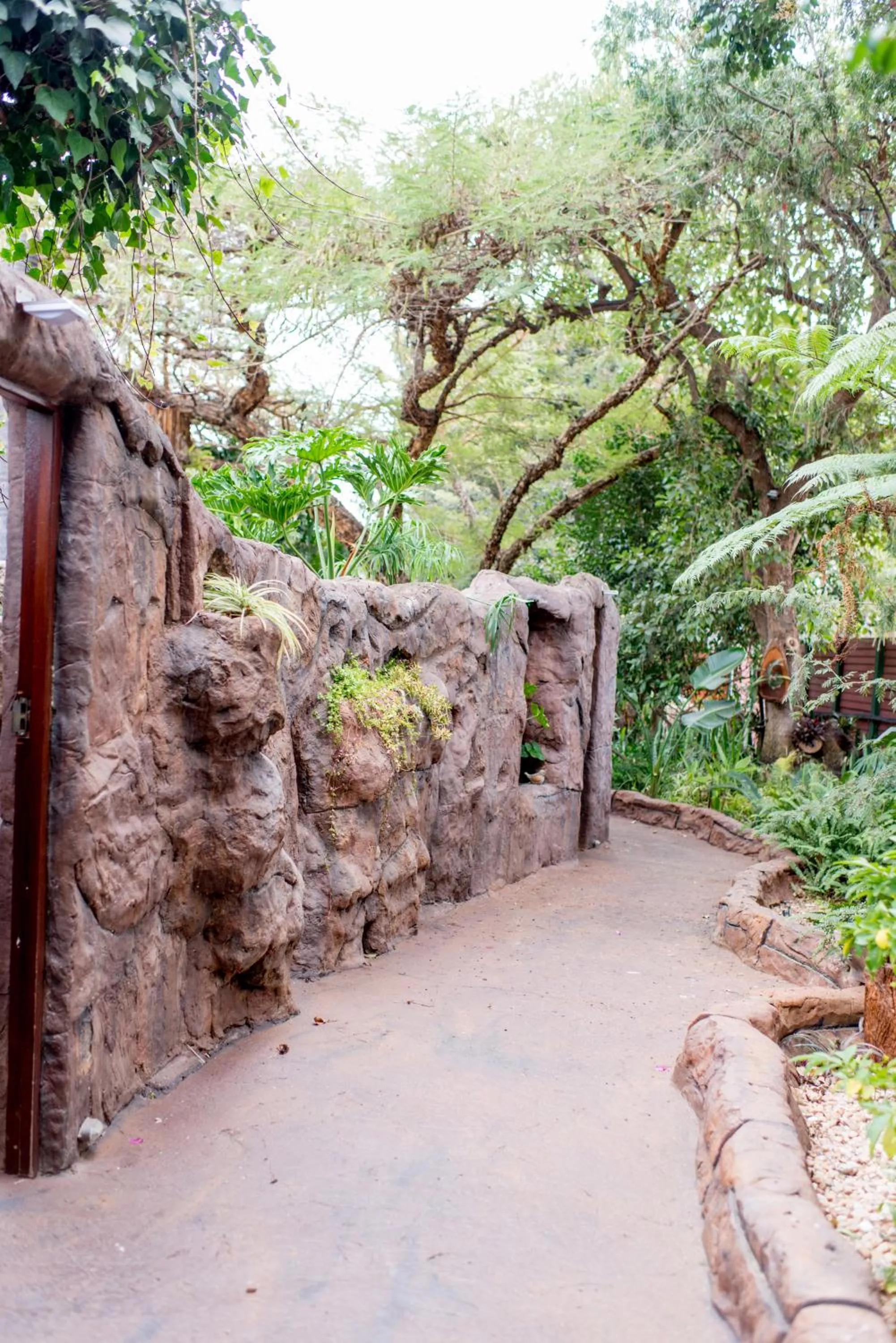 Natural landscape in 61 On Ireland Guest House and Conferencing