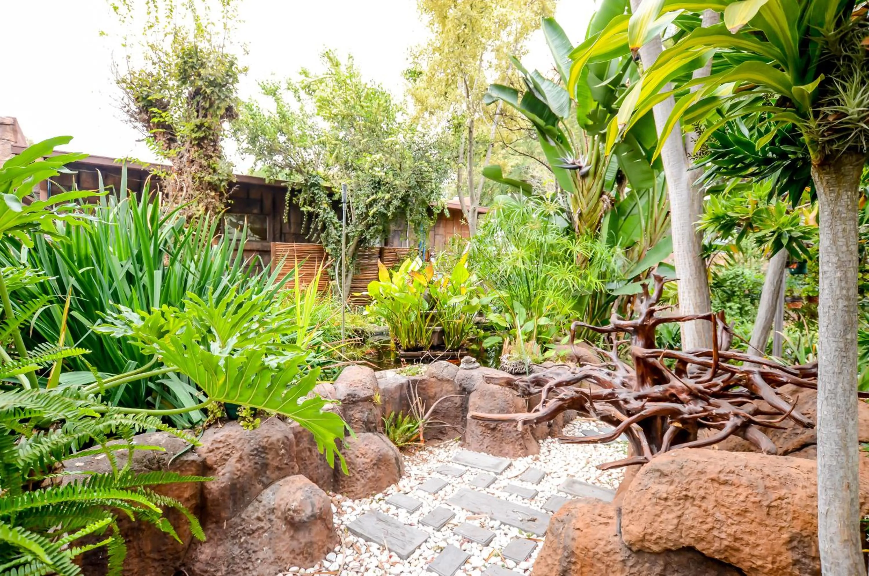 Garden in 61 On Ireland Guest House and Conferencing