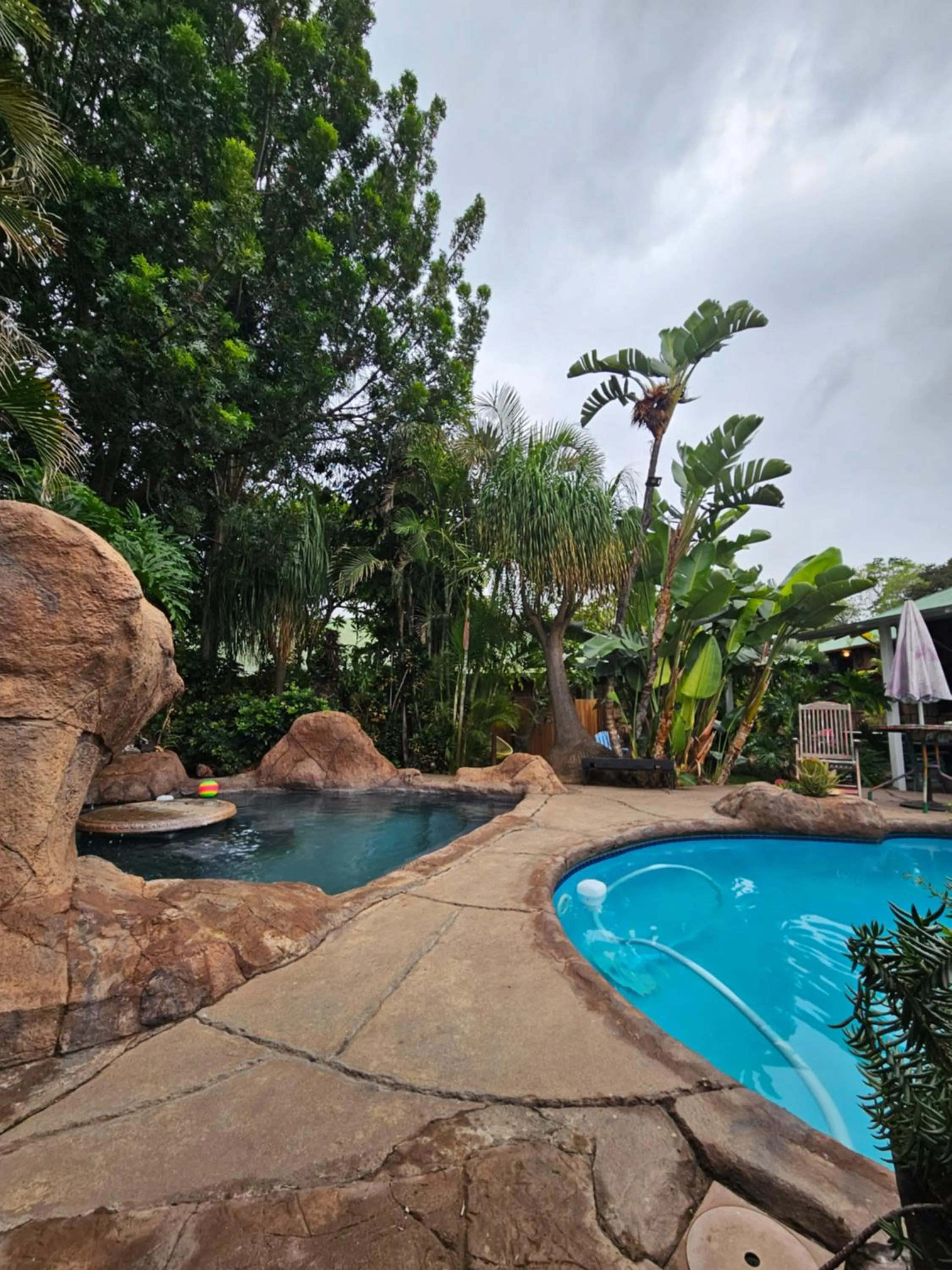 Swimming pool in 61 On Ireland Guest House and Conferencing