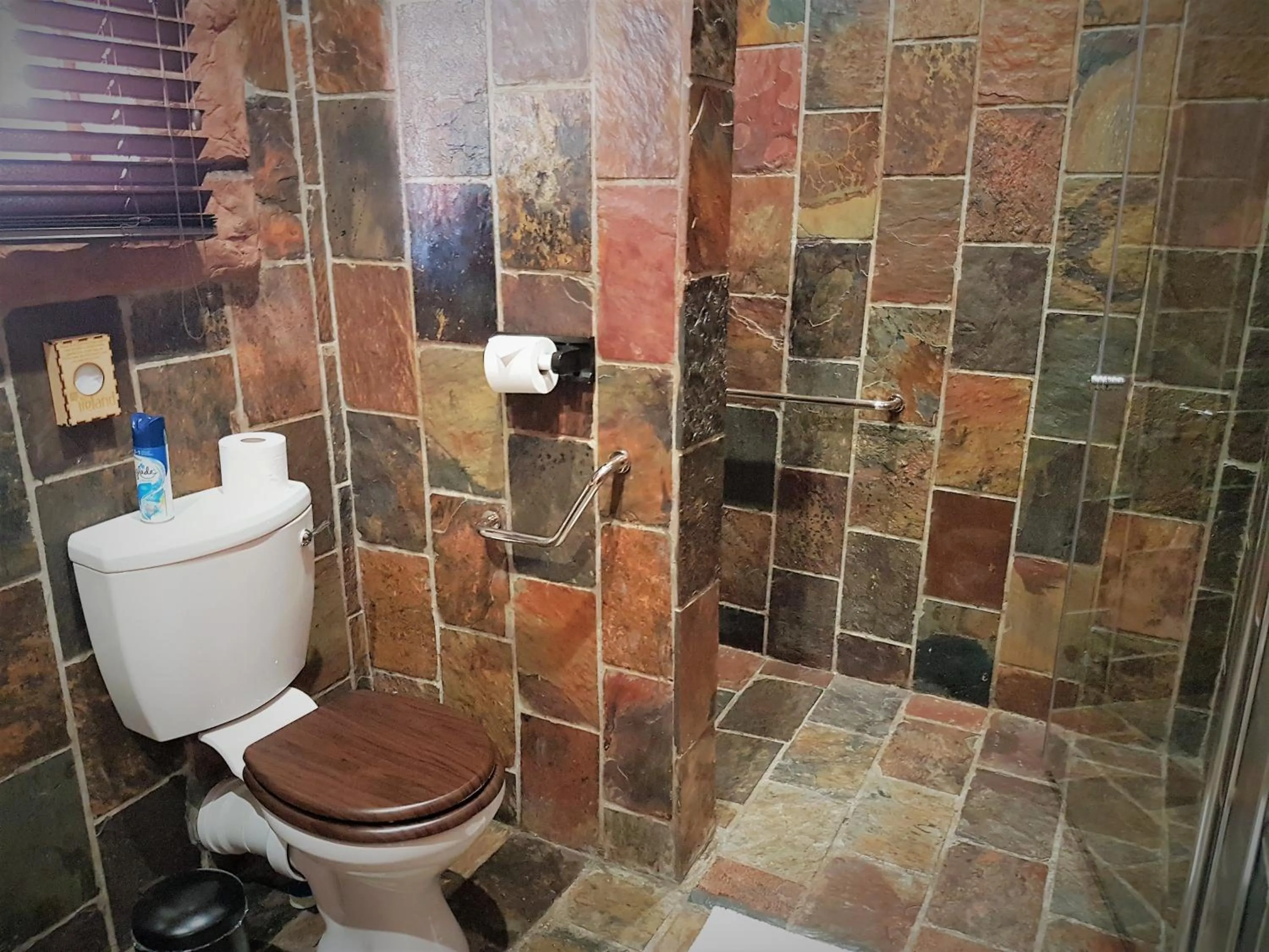 Shower in 61 On Ireland Guest House and Conferencing