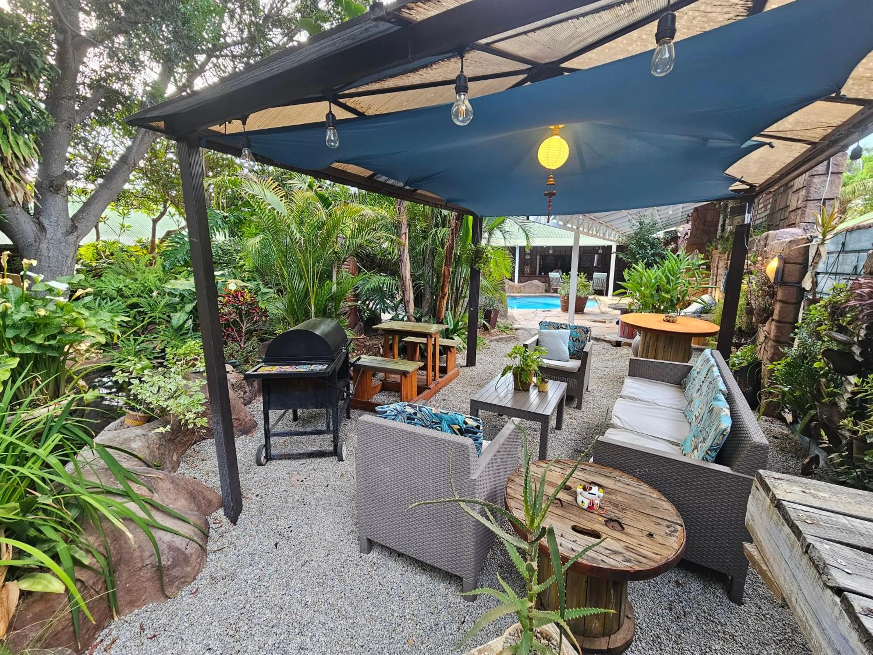 Garden in 61 On Ireland Guest House and Conferencing