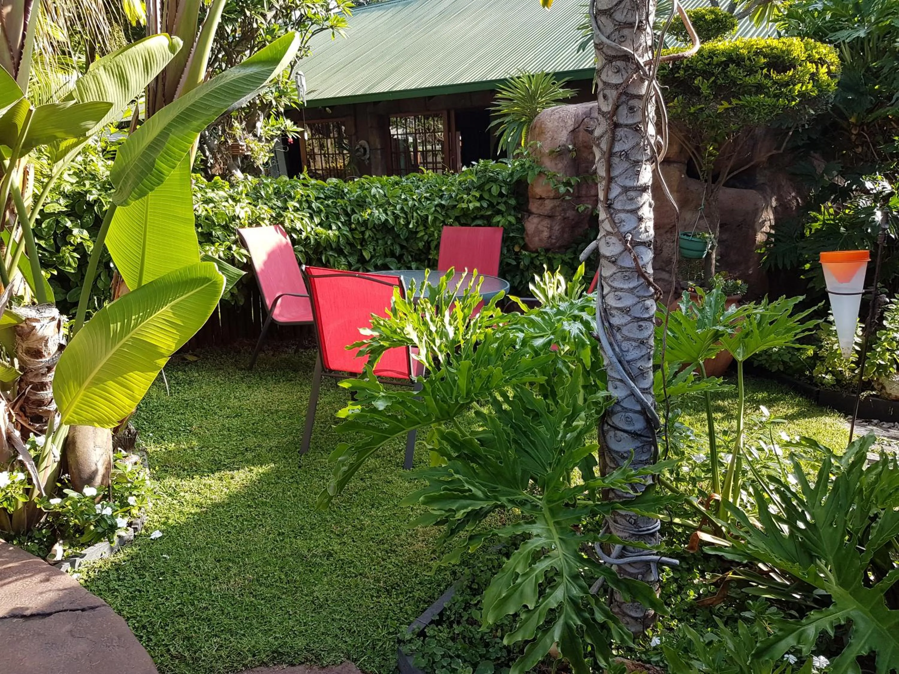 Garden in 61 On Ireland Guest House and Conferencing