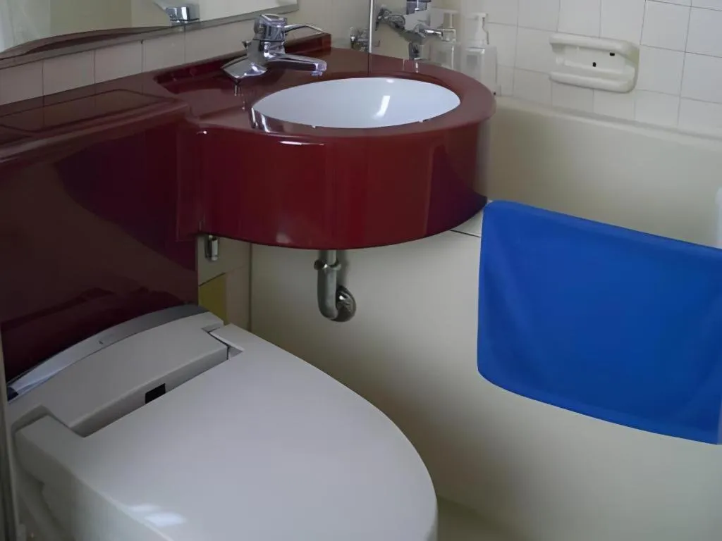 Matsuyama City Hotel