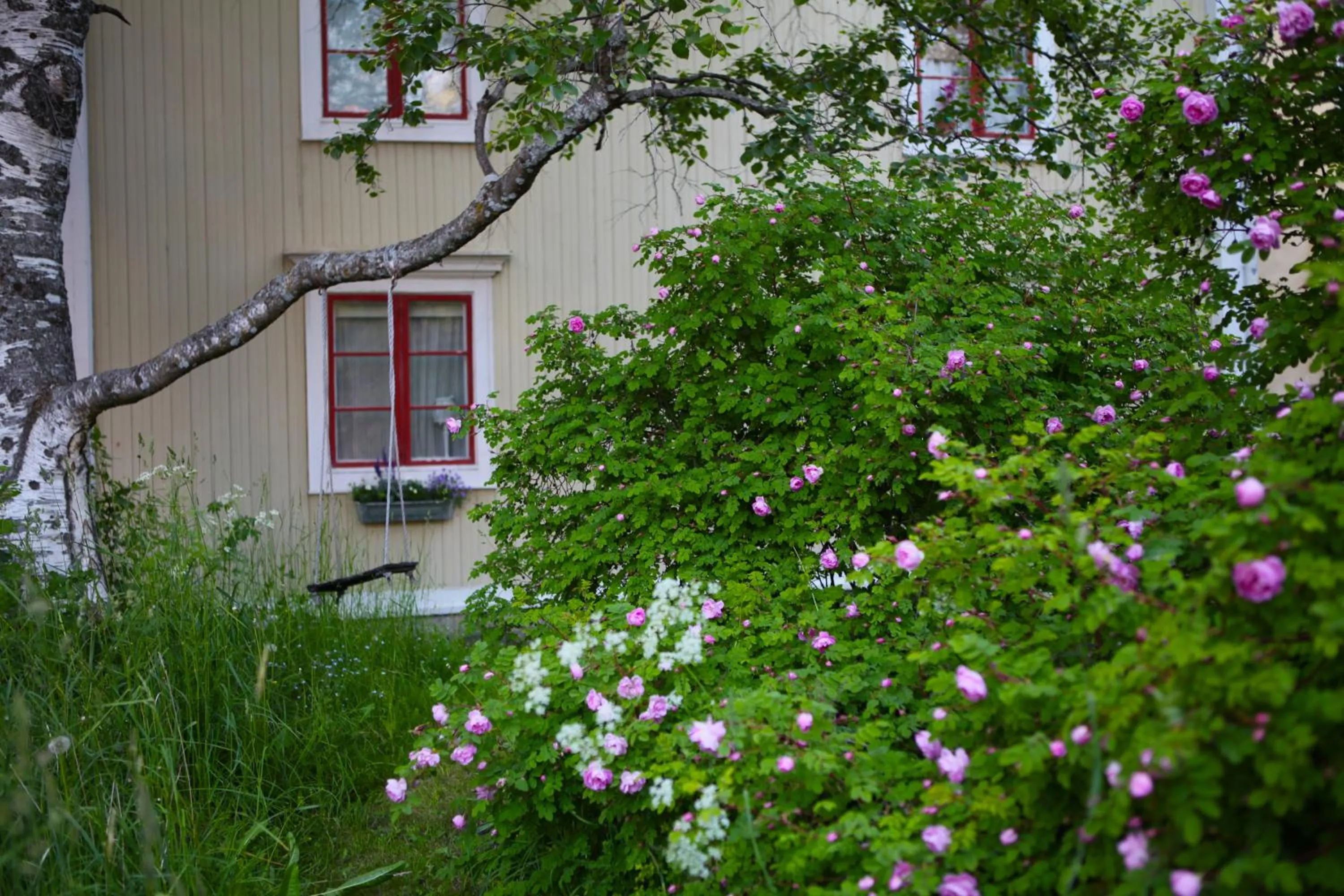 Property building in Prästgatanett Apartments