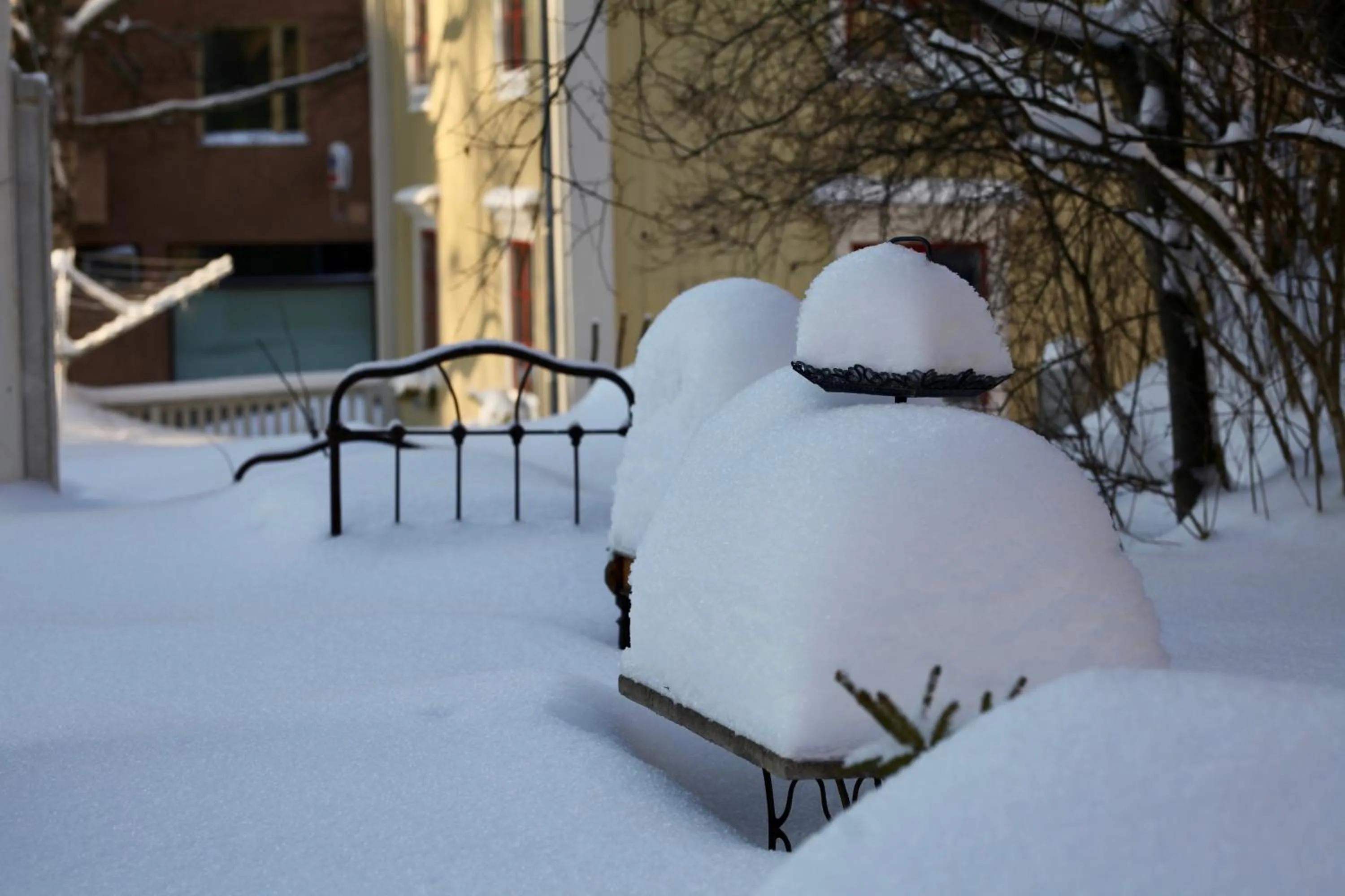 Garden view in Prästgatanett Apartments