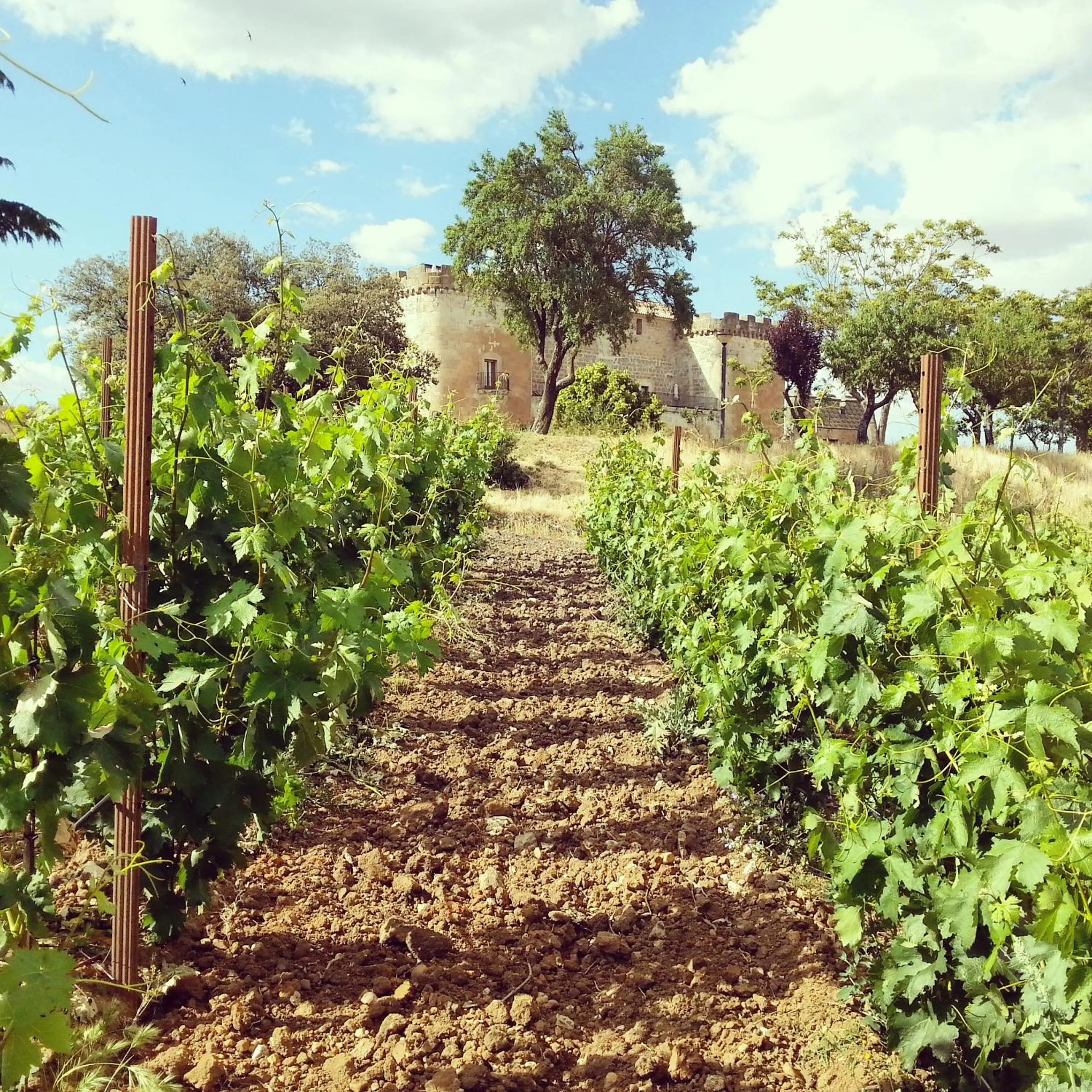 Off site in Posada Real Castillo del Buen Amor
