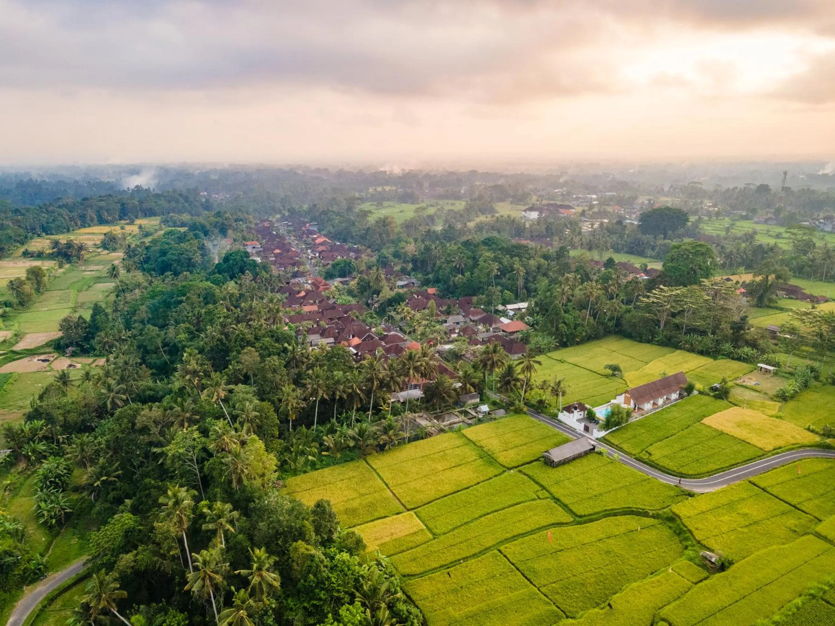 Property building in Aura Apartments Ubud
