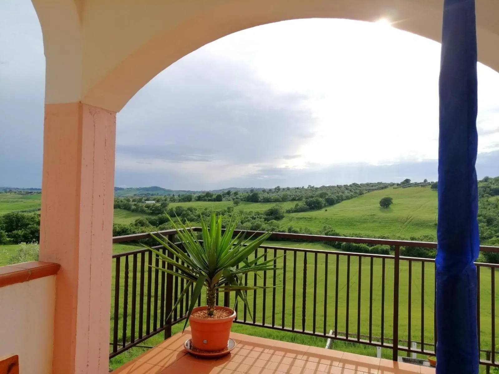 Natural landscape in Agriturismo Podere Verdicchio