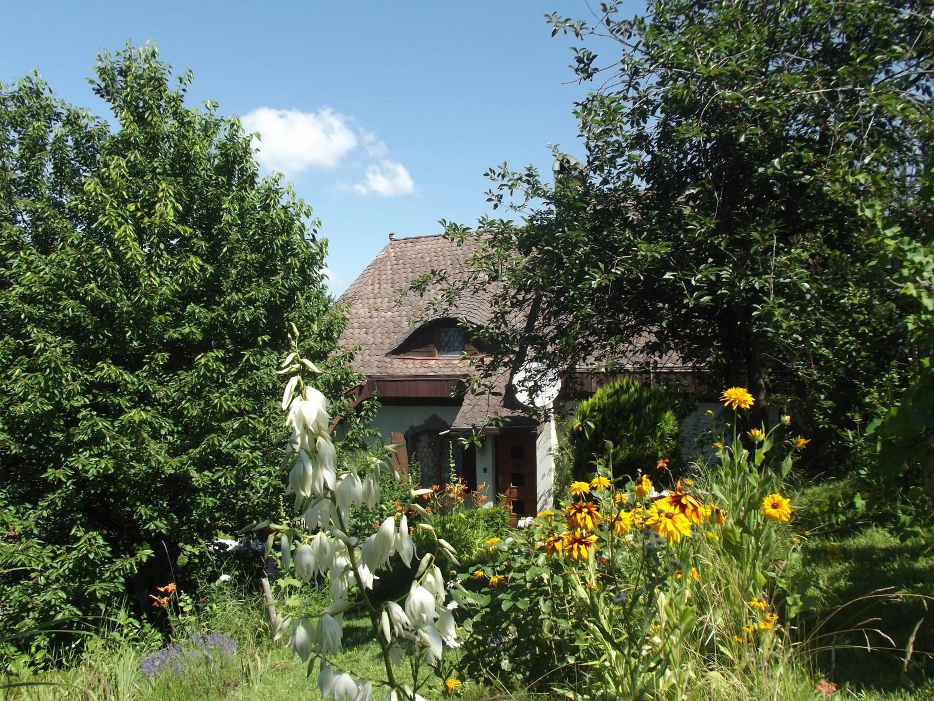 Panka House