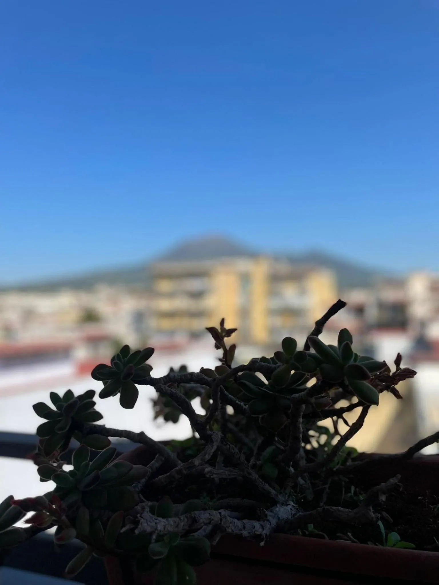 Pompei Duplex Apartment Deluxe