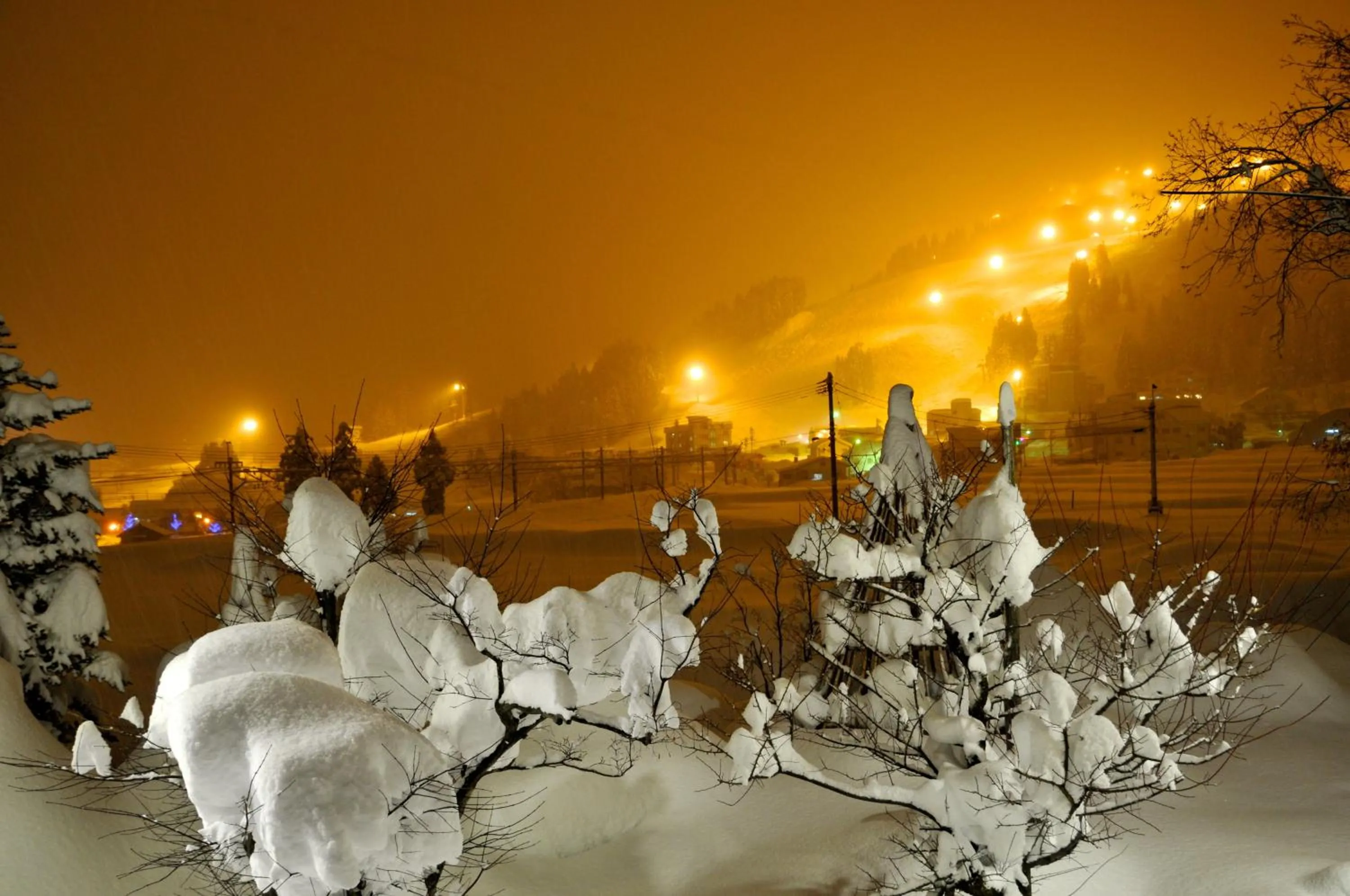 Night in Maruyama Onsen Kojyokan