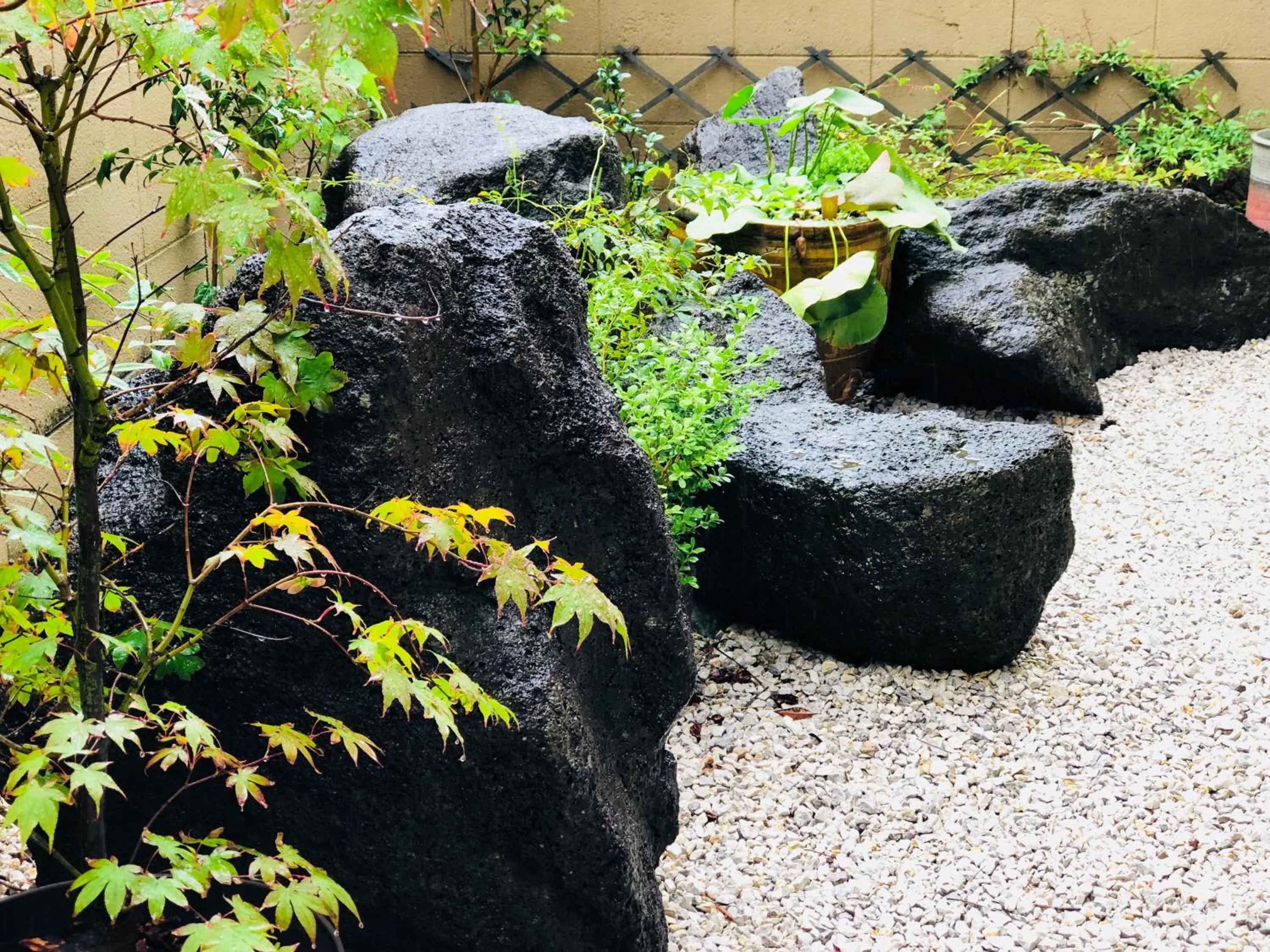 Garden in Tabist International Hotel Kaike