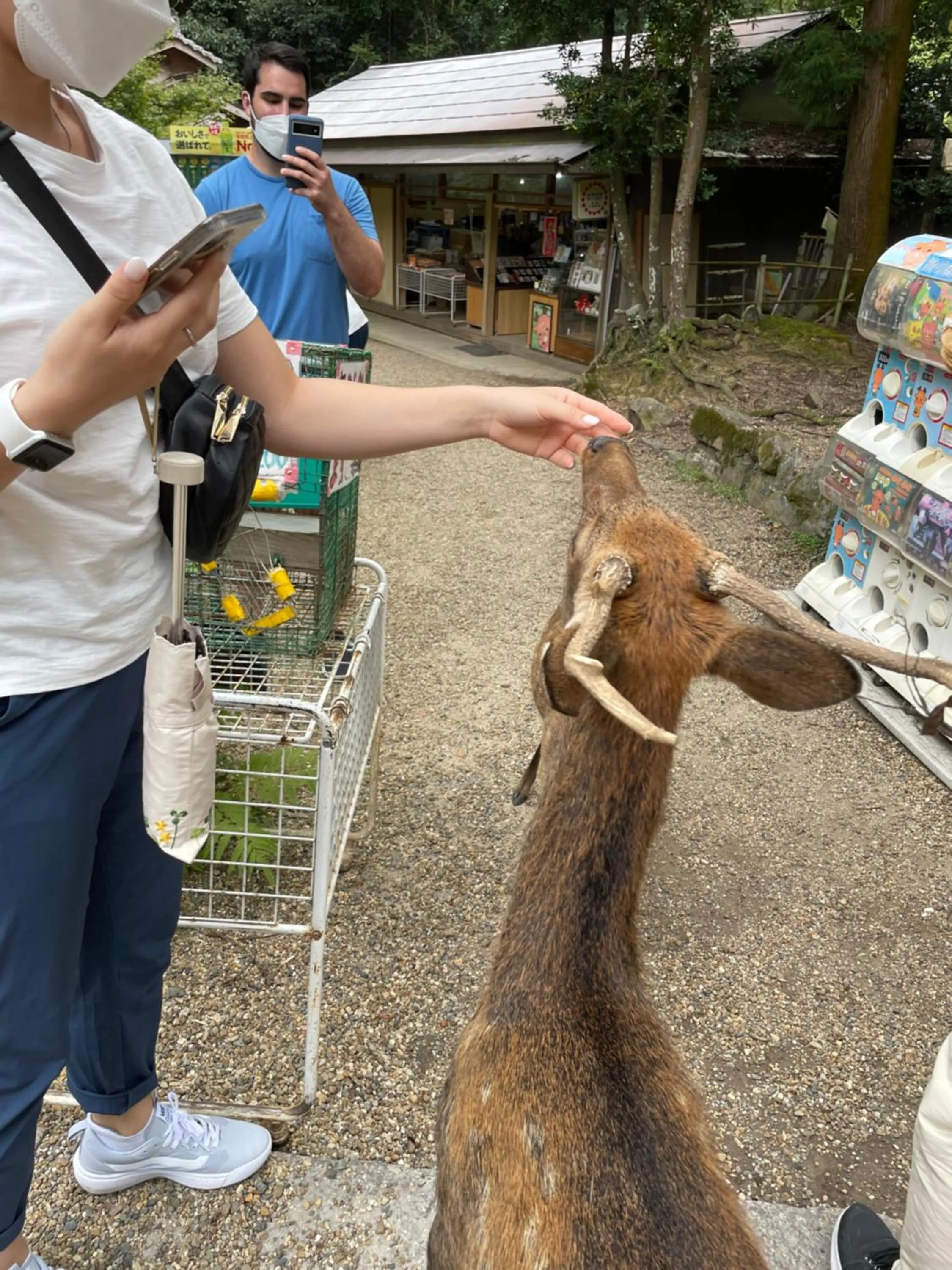 Nearby landmark in Nara Guesthouse 3F