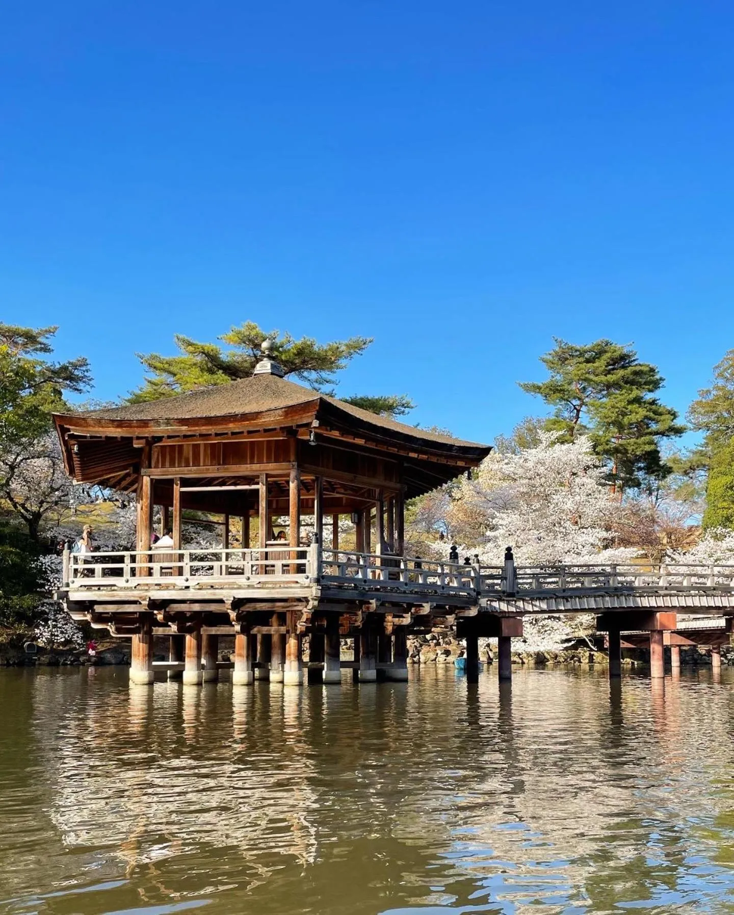 Nearby landmark in Nara Guesthouse 3F