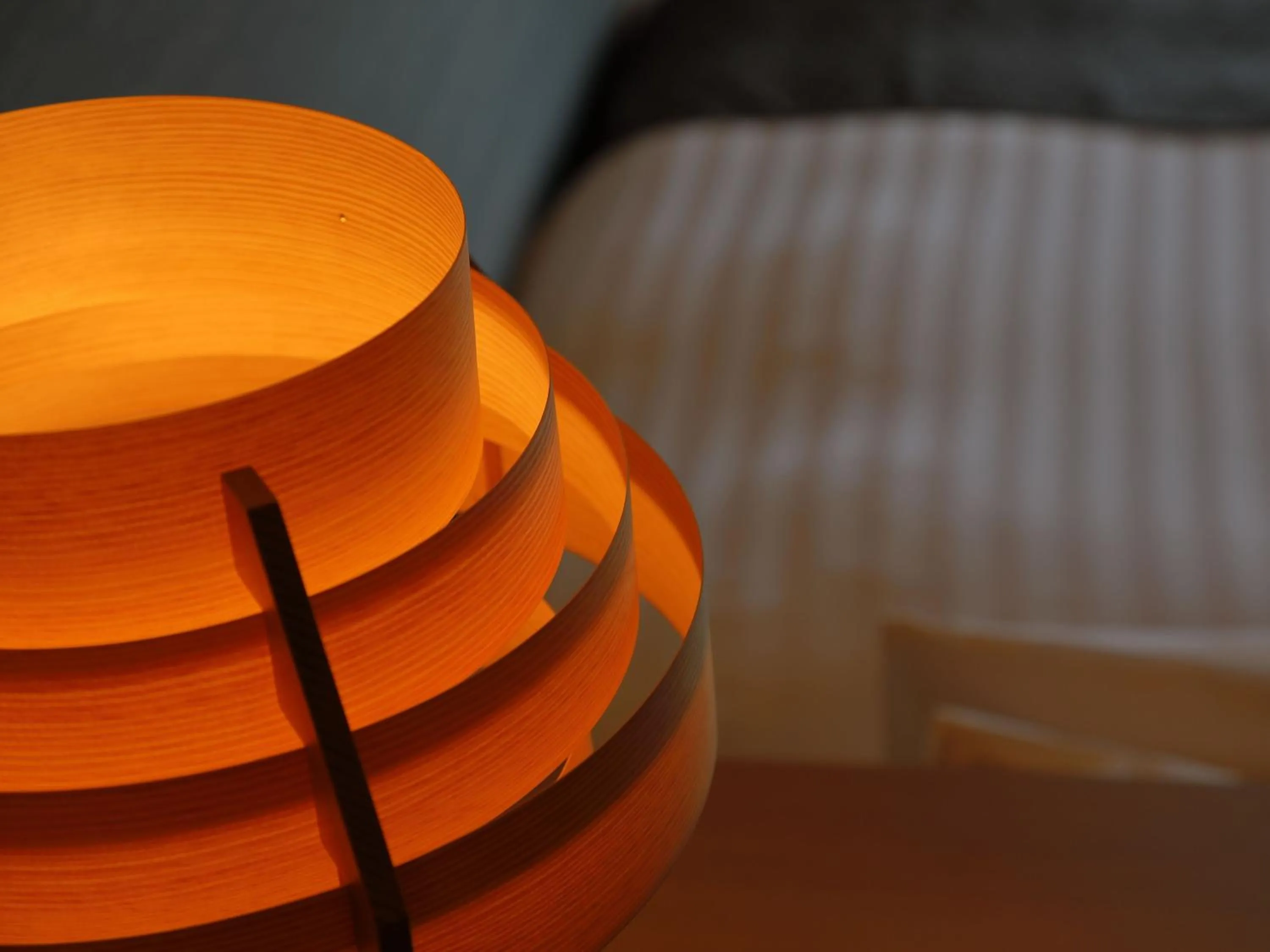 Photo of the whole room, Bed in Hitoyoshi Onsen Nabeya