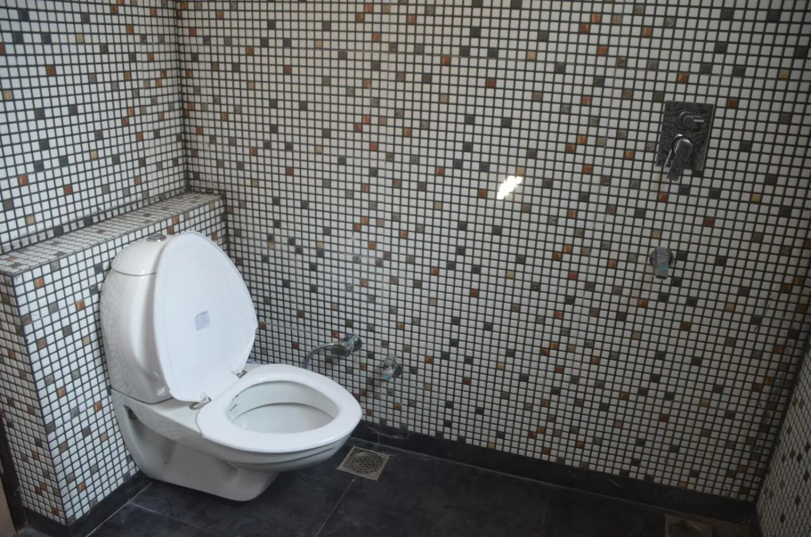 Toilet in Goel Residency