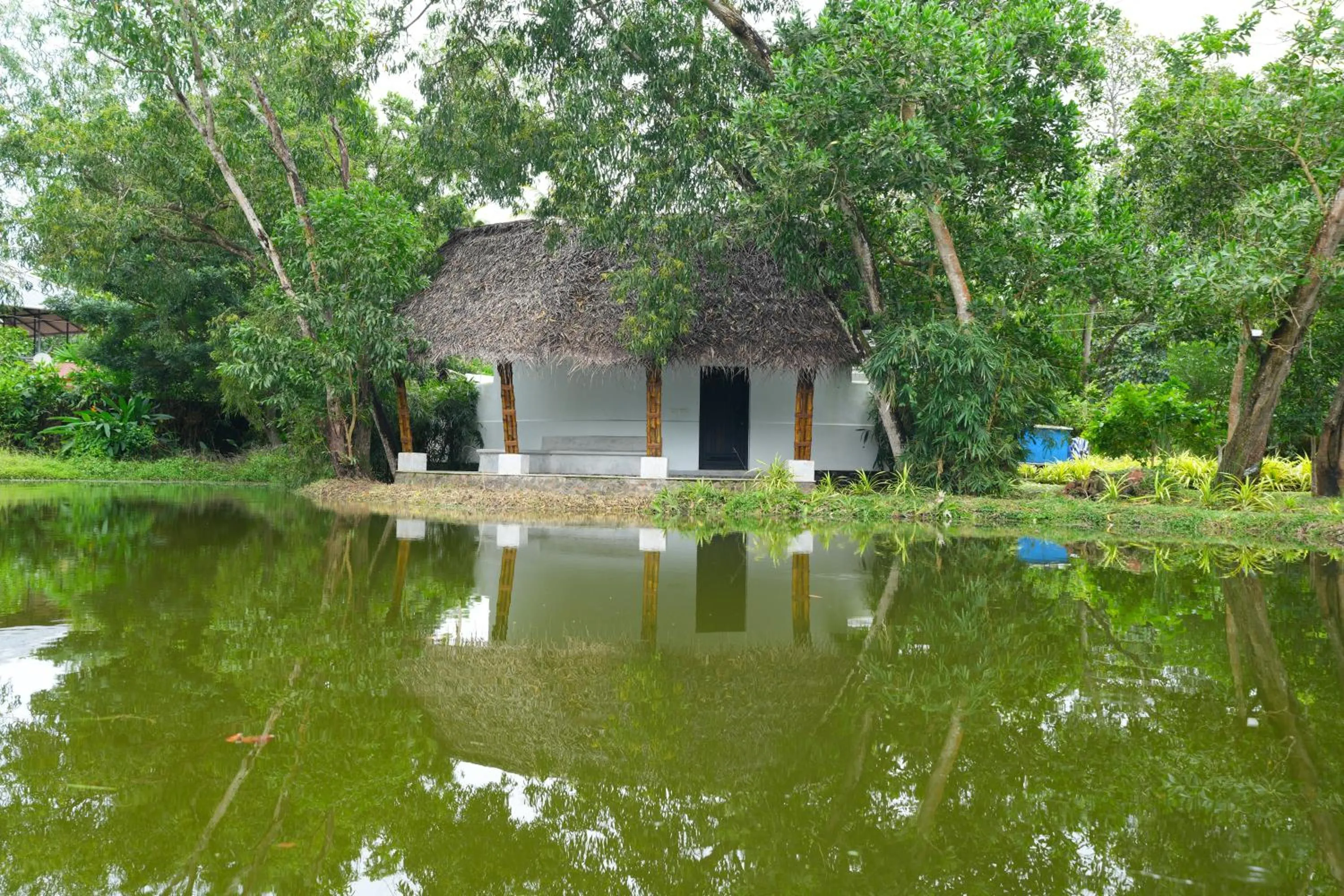 Natural landscape in Xandari Pearl Beach Resort