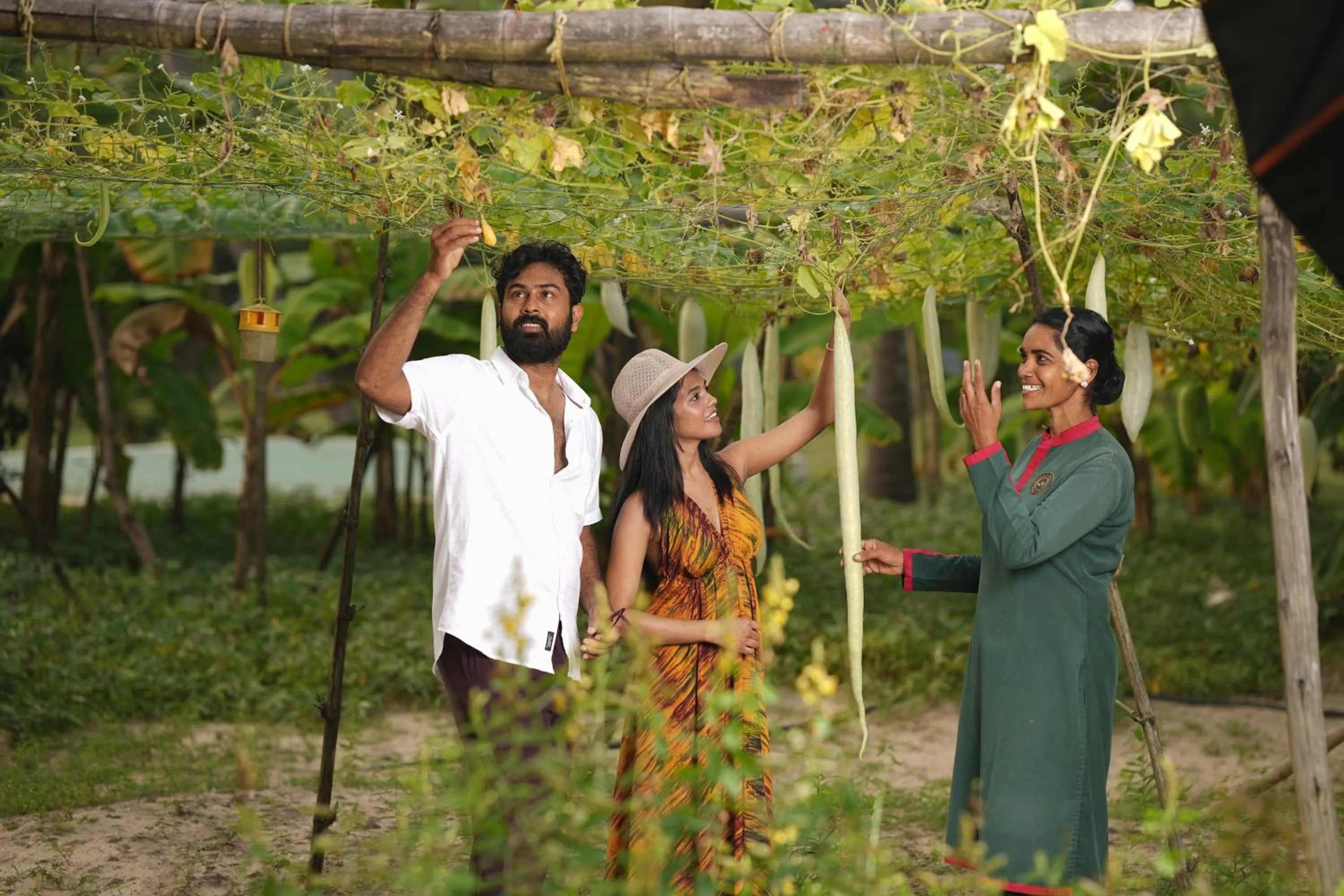 Garden in Xandari Pearl Beach Resort