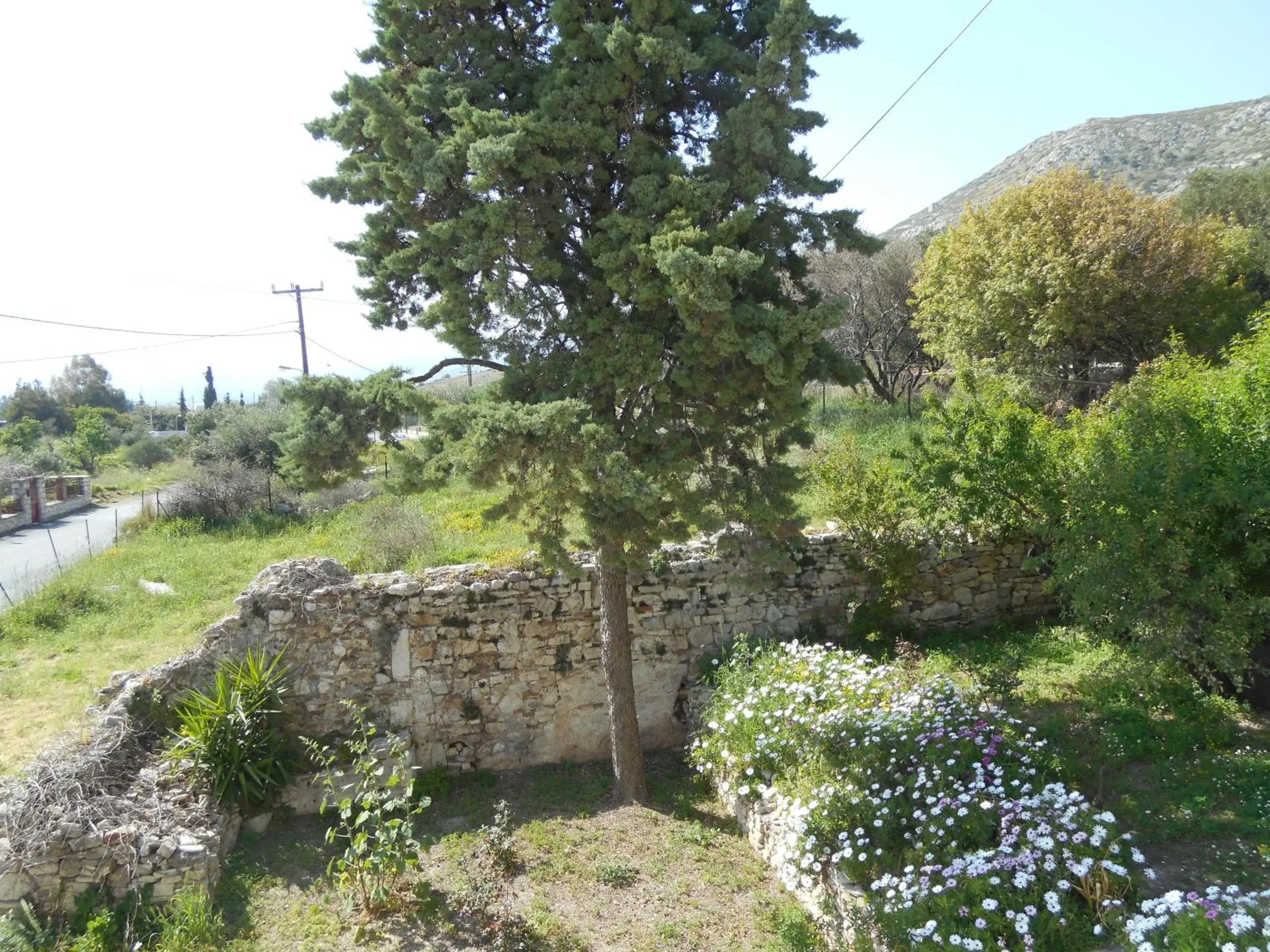 Large Single Room in Pythaïs Hotel Large Single Room in Pythaïs Hotel