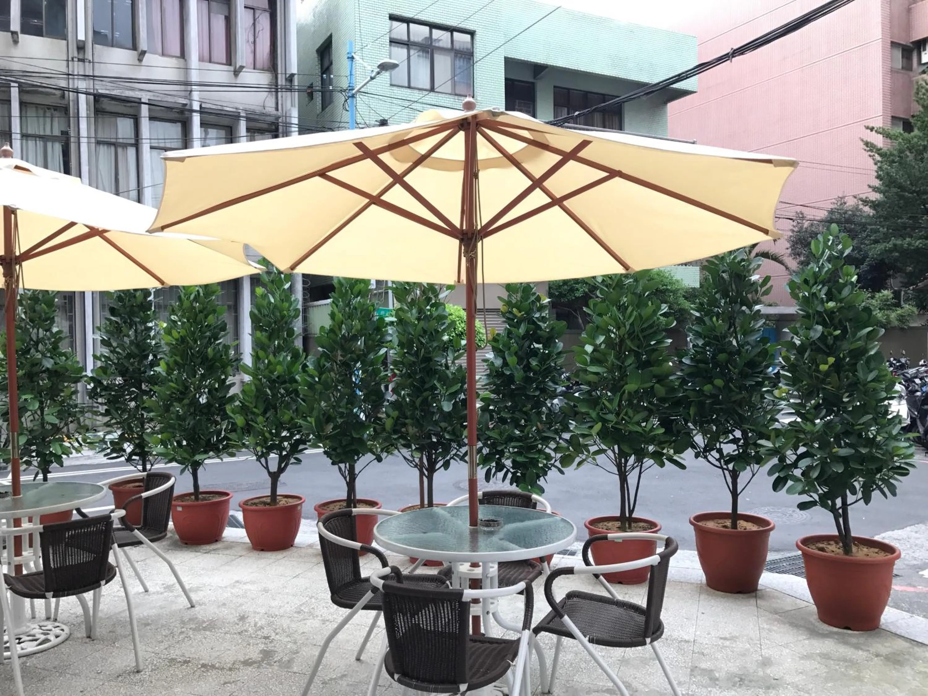 Garden in Single Inn - Taipei