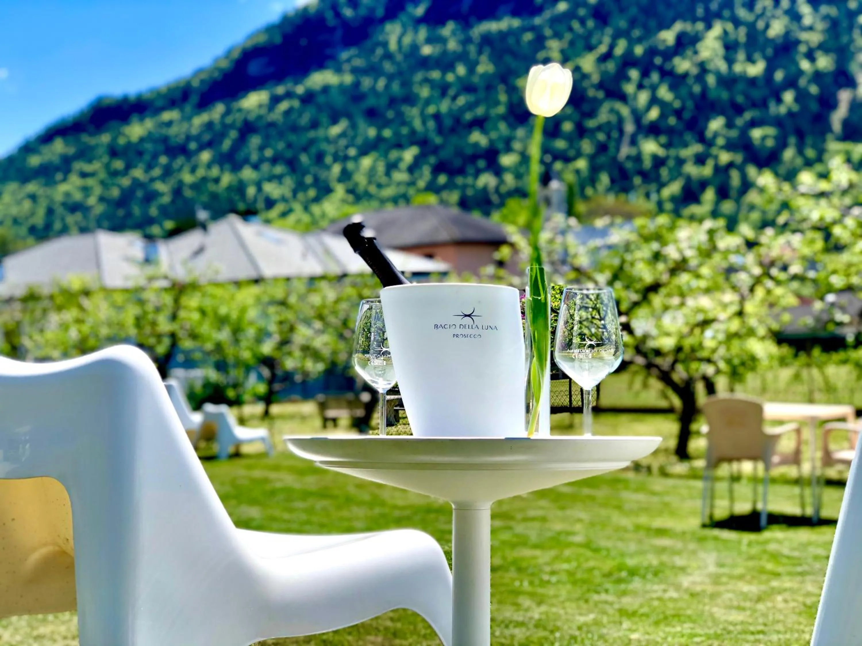 Garden in B&B Il Piccolo Principe room and breakfast