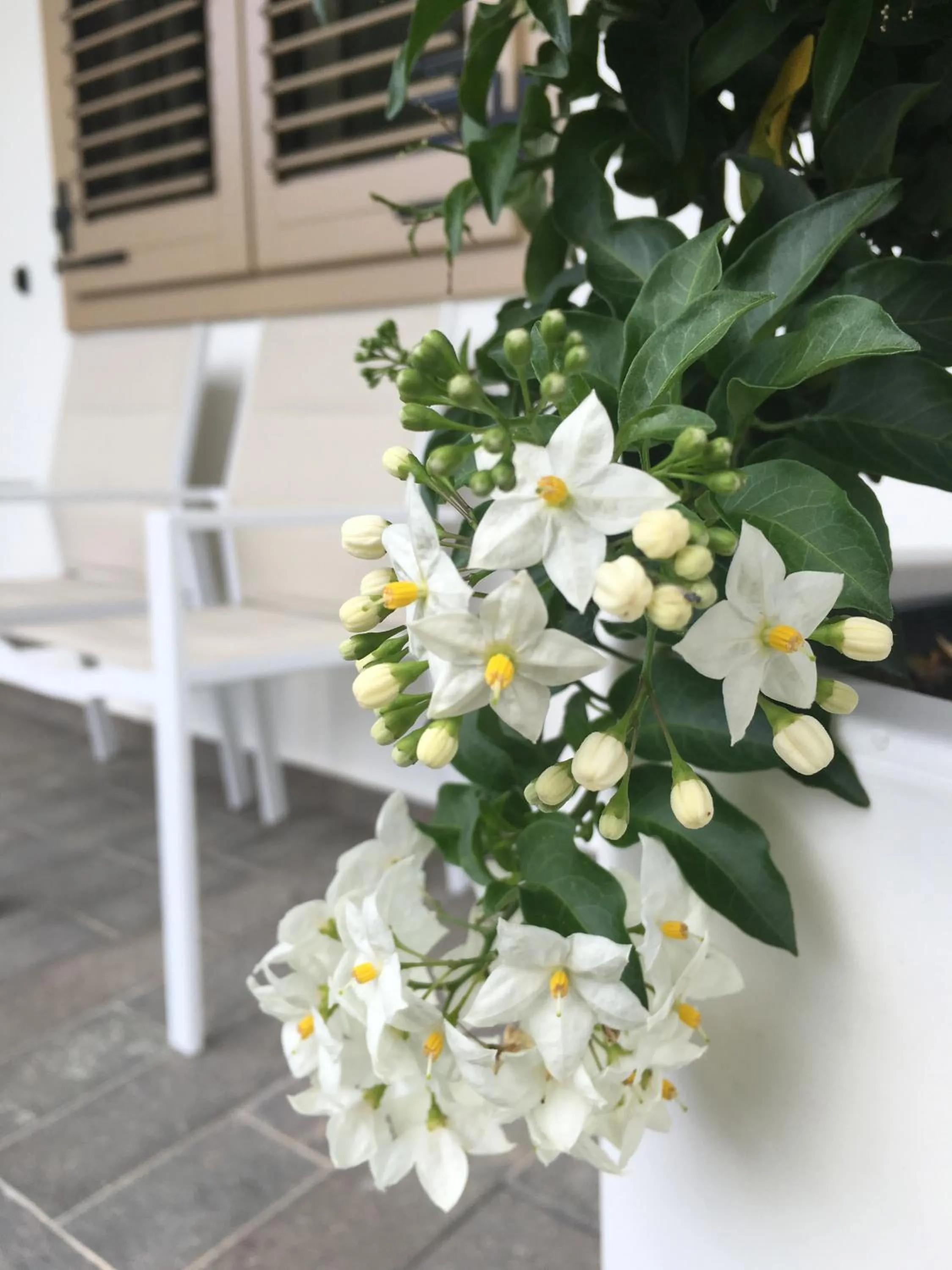 Property building in B&B Il Piccolo Principe room and breakfast