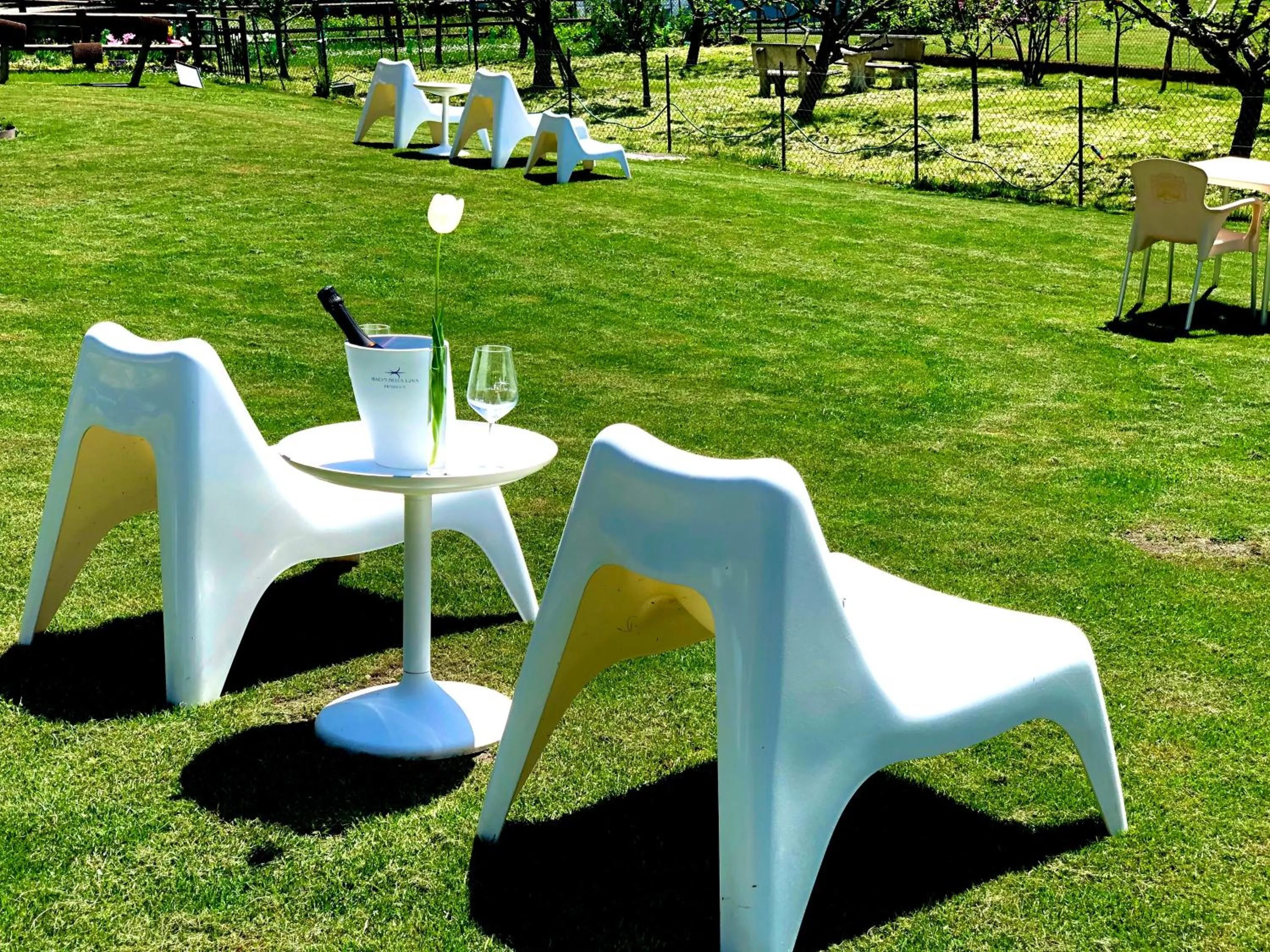 Garden in B&B Il Piccolo Principe room and breakfast