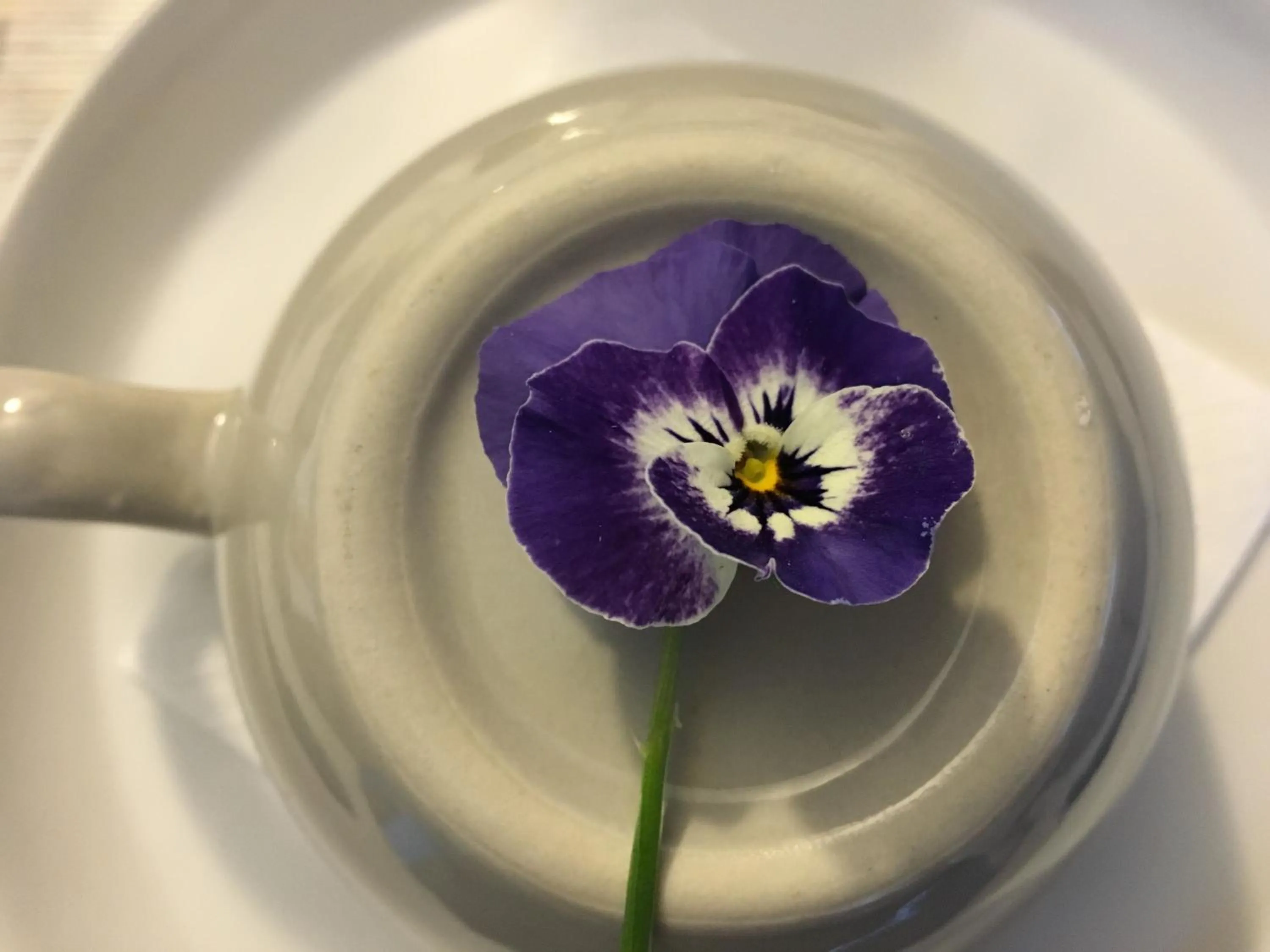 Breakfast in B&B Il Piccolo Principe room and breakfast